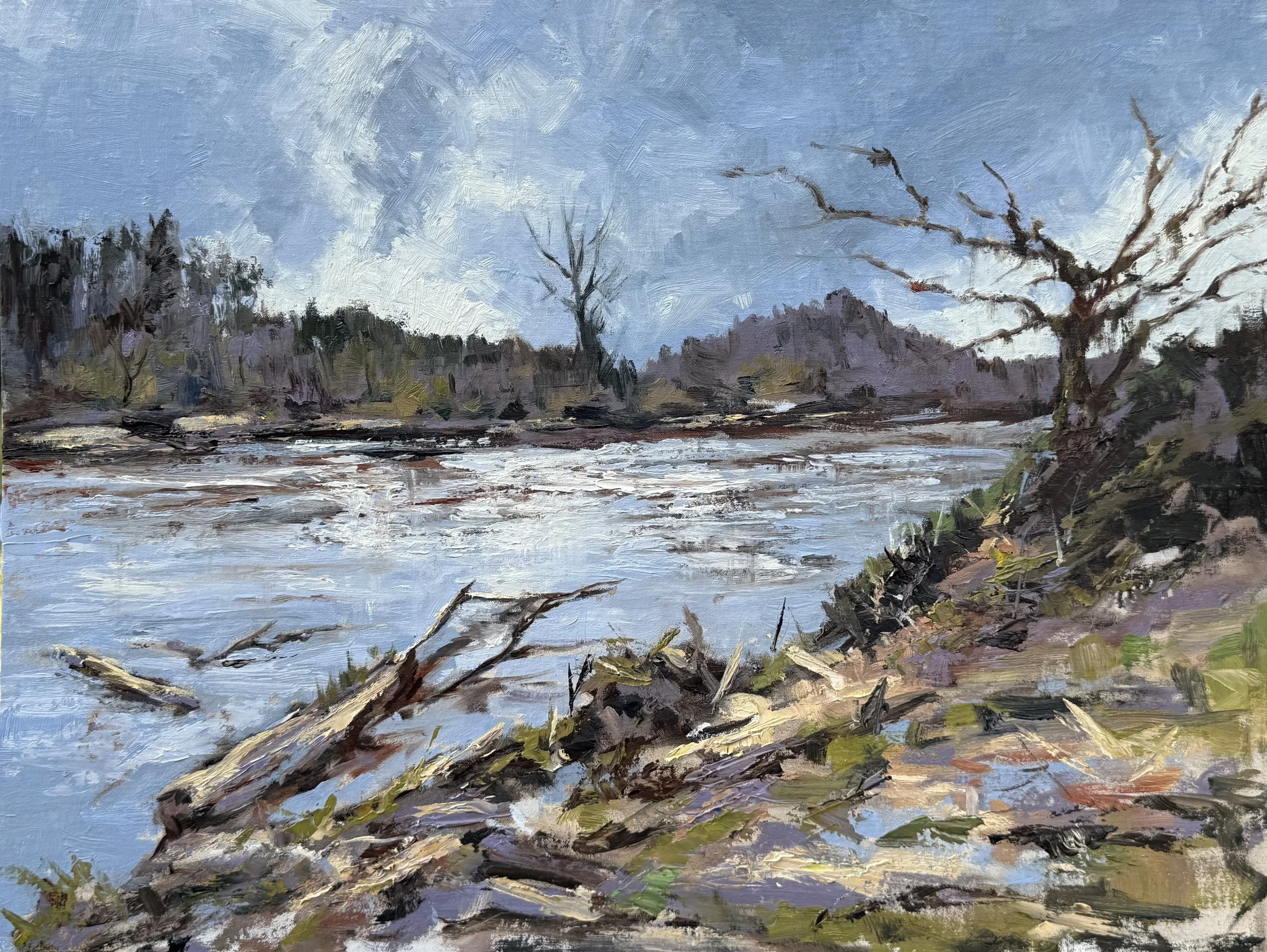 French Broad River.jpg