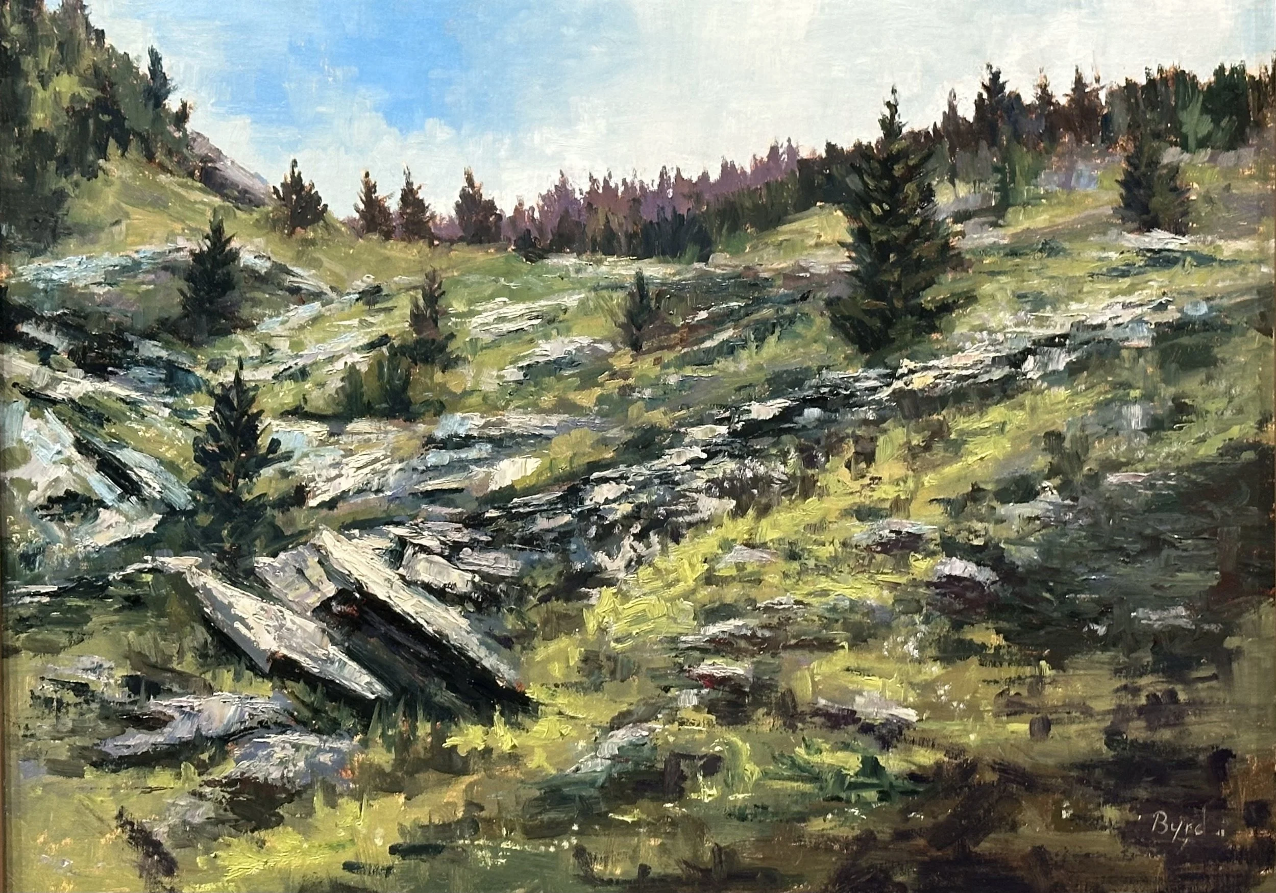 Grandfather Mountain Ascent.jpg