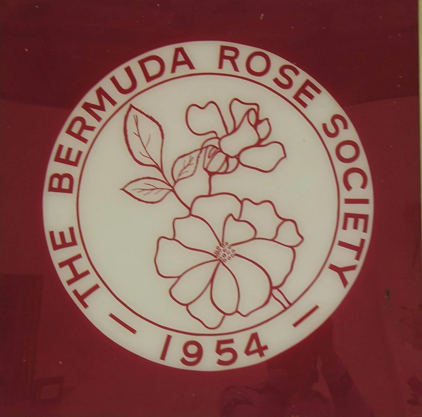 Logo of The Behermauda Rose Society featuring a rose illustration with the society's name and founding year 1954 encircling it on a red background.