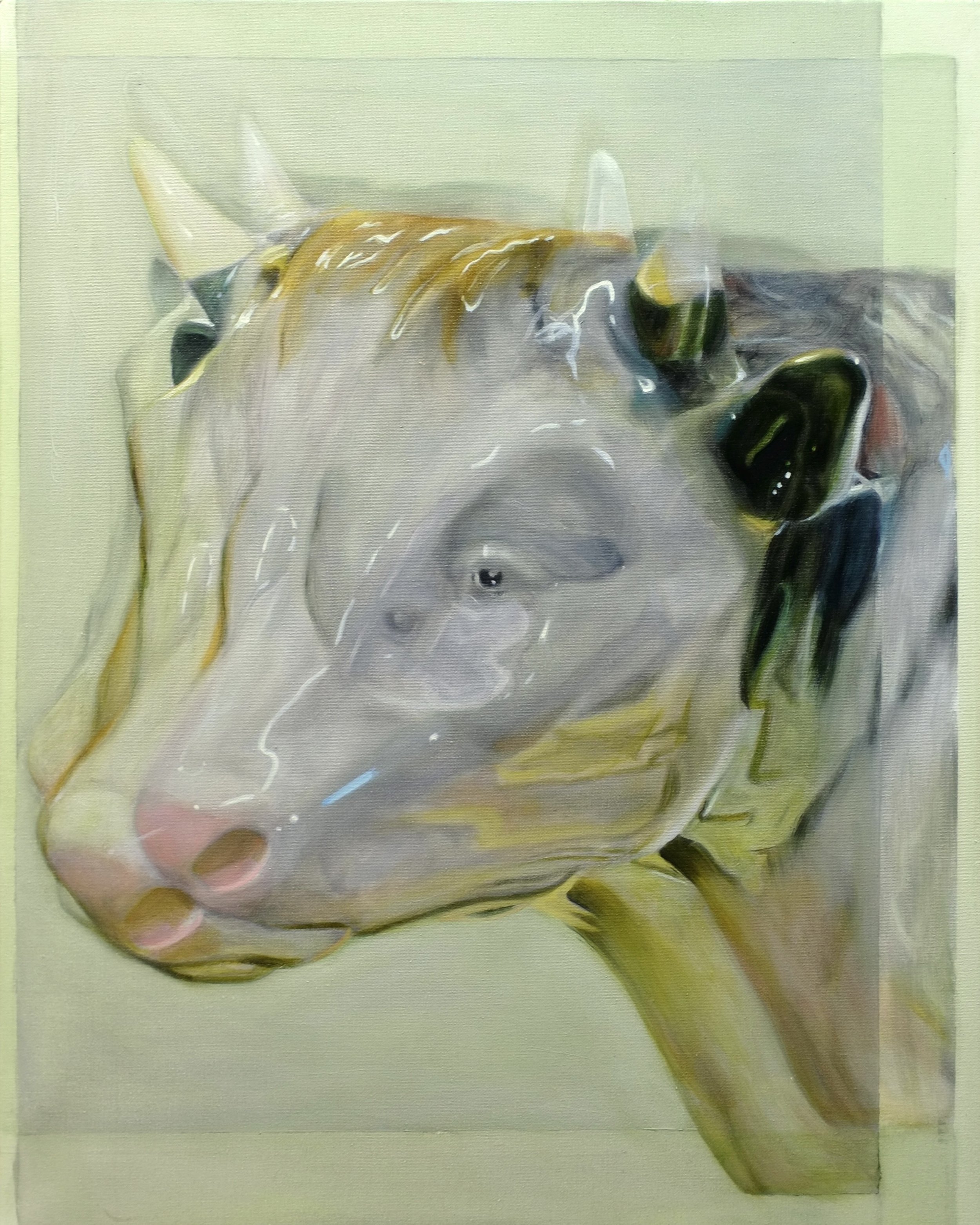 Bull
2026
oil on canvas
50 x 40 cm