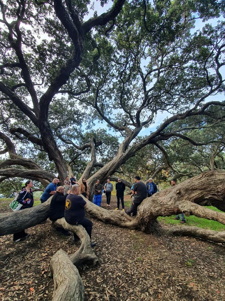 4 what we do tree.jpeg