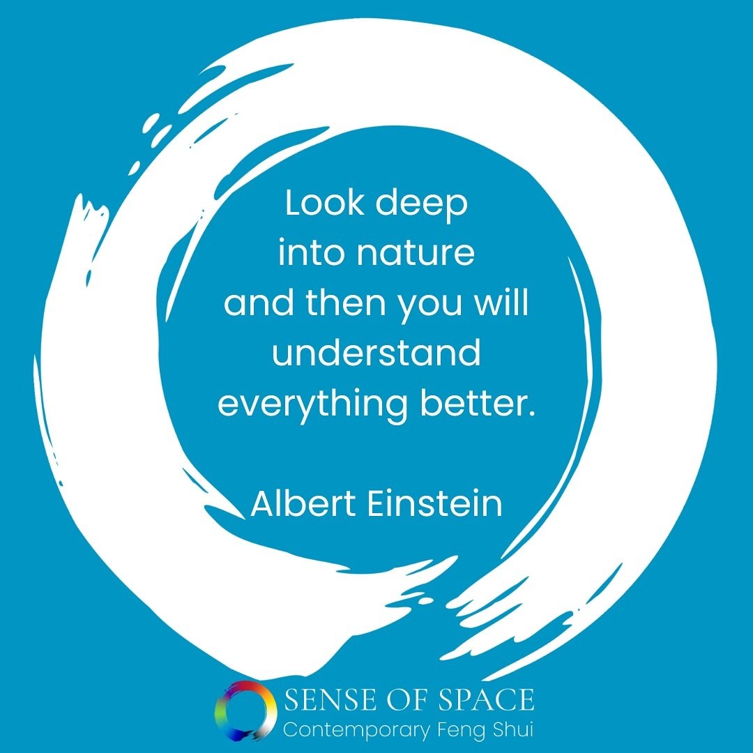 This week&rsquo;s #MotivationMonday is an amazing quote from Einstein about the importance of understanding nature to live well.

Biophilic Design has in recent years been getting more attention for its scientific validation of how principles in natu