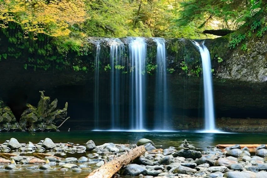 Five small waterfalls side by side
