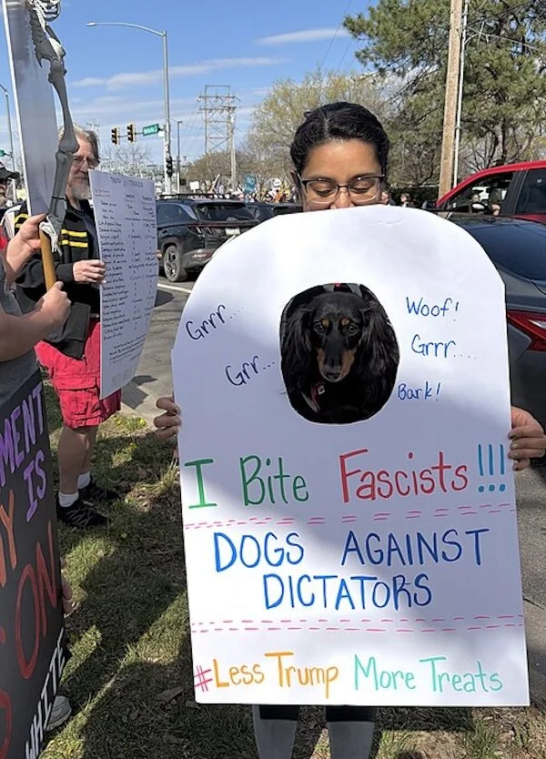 Anti-Trump” dog in photo stand-in protest sign