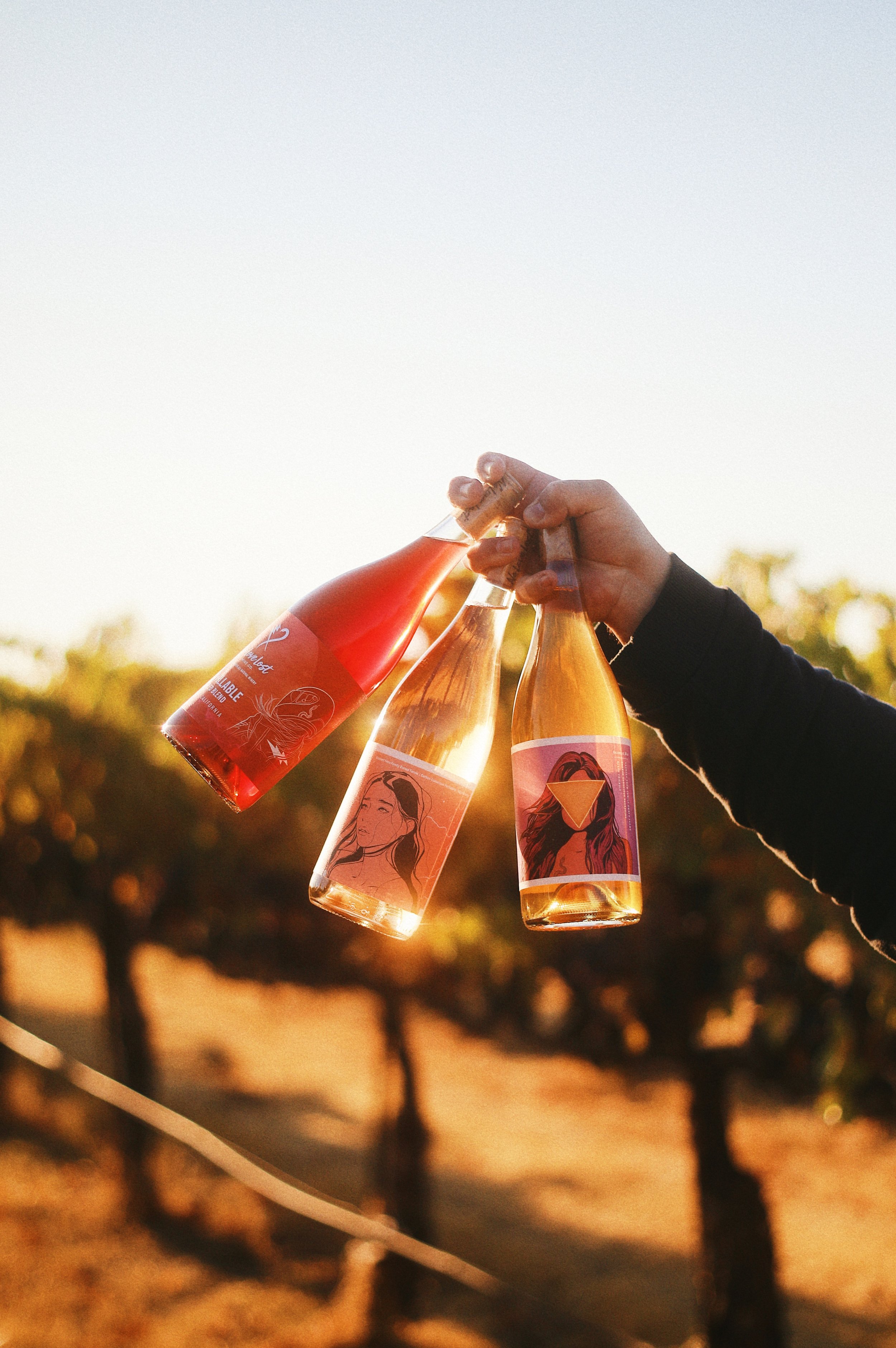 No Love Lost Wine Co: Natural wines made with heart.