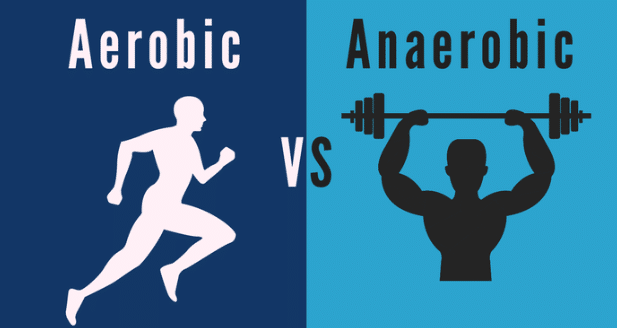 Aerobic vs. Anaerobic Exercise: Which Benefits You More?