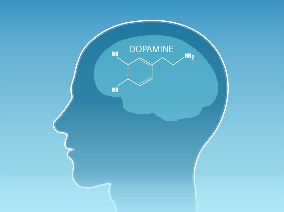 Can You Really Dopamine Detox?