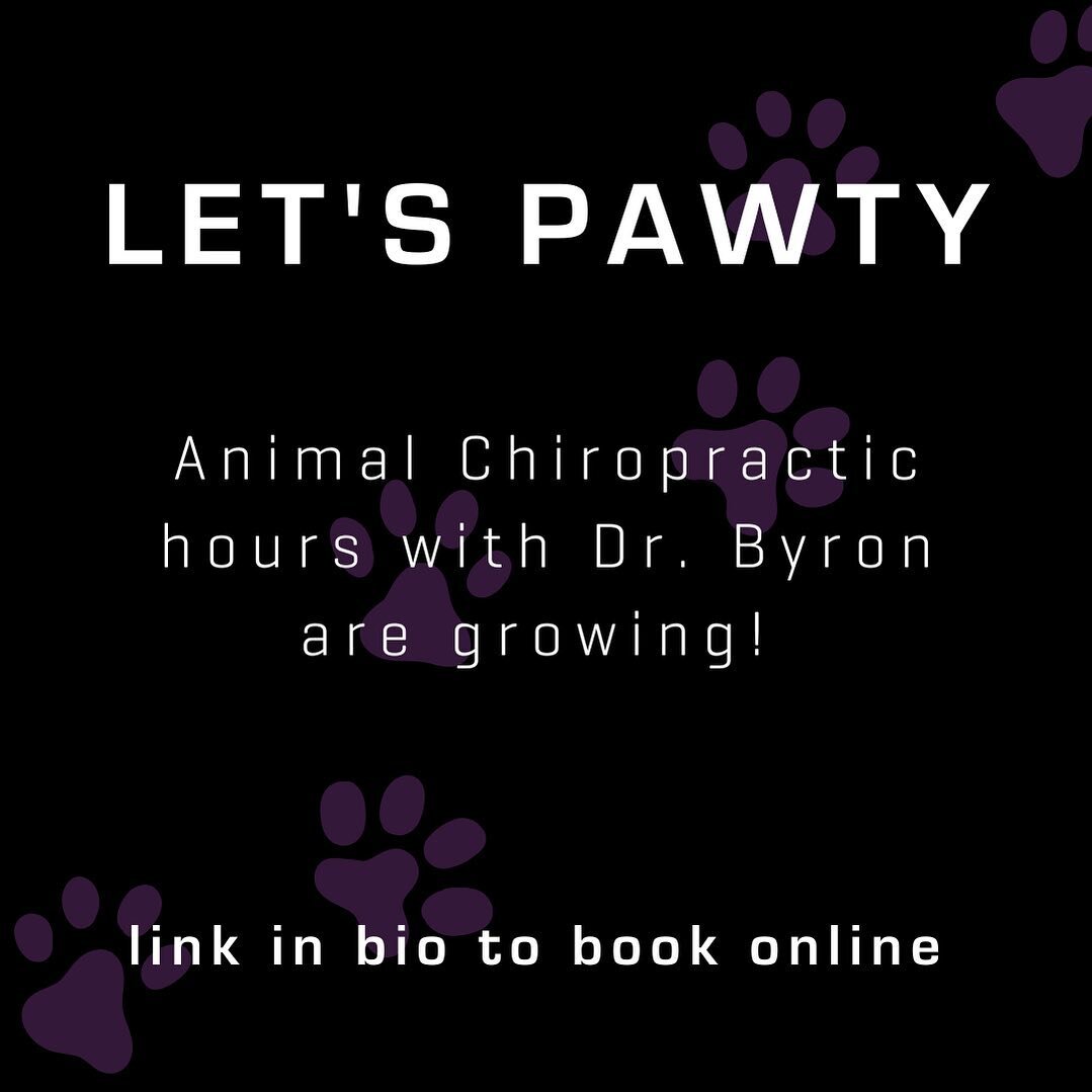 Dr. Byron has expanded his animal chiropractic hours! Dr. Byron will be in the office Tuesday, Wednesday, Thursday, and most Saturdays serving our four legged family members!

Equines are scheduled by appointment only, directly with Dr. Byron 🐴 
 
 