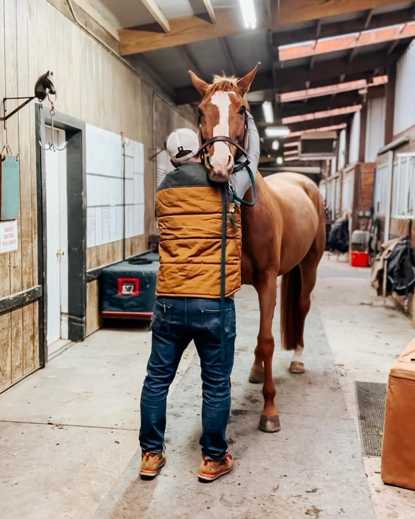 E Q U I N E  C H I R O P R A C T I C 
 
 
 
The goal of equine chiropractic is to help the nervous system function better. When structure shifts in the spine are removed, common symptoms go away. Common symptoms horses see a chiropractor for are: poo