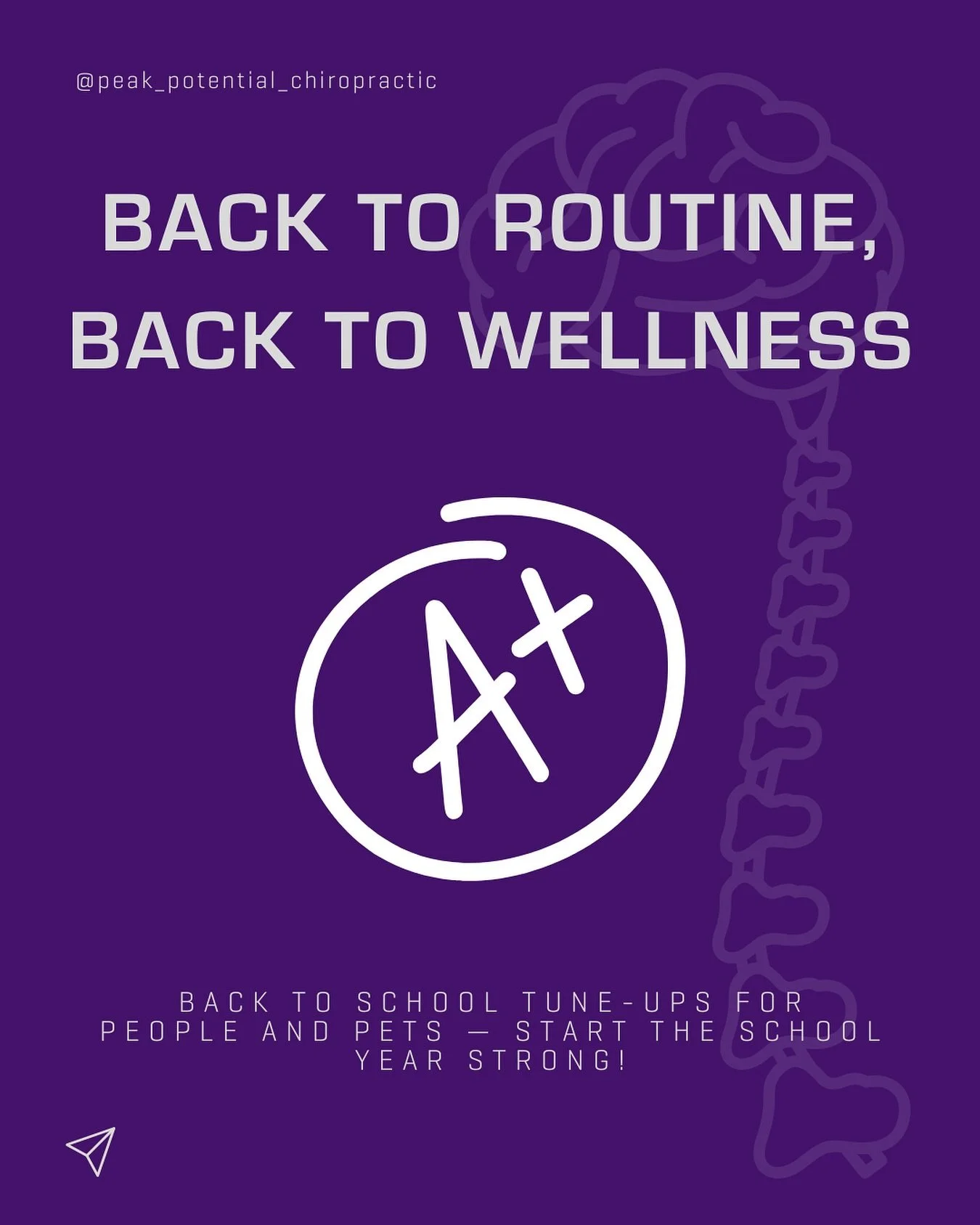 As routines change and schedules ramp up, don&rsquo;t forget to support your spne and nervous system (your stress levels) &mdash; and your furry friends too!

✅ Kids heading back to school?
✅ More time in the car-to and from work, picking the kids up