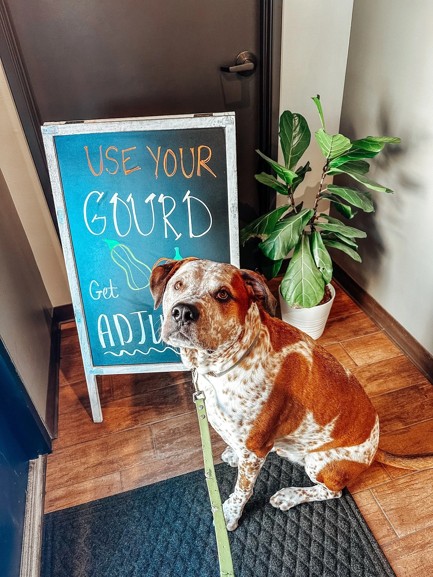 🎃🐶👩&zwj;👧 Use Your Gourd, Get Adjusted! 🐾🦴

Fall is here, and it&rsquo;s the perfect time to make sure the whole family (two-legged AND four-legged!) is feeling their best. 🍂

👩&zwj;⚕️ For Humans: Chiropractic care helps keep your spine align