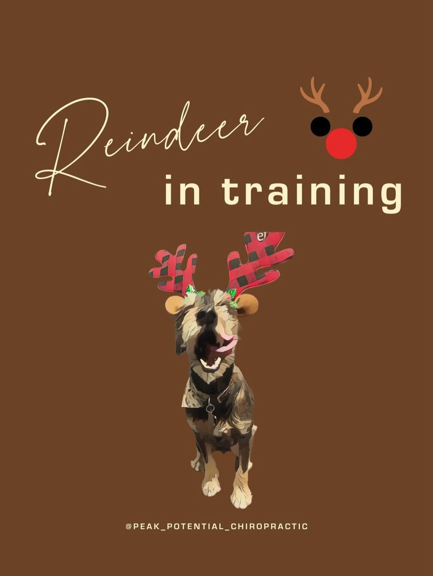 🦌🐶 Reindeer in Training: Holiday Health for Dogs

Not every dog pulls a sleigh&hellip;
&hellip;but many are sprinting through the holidays like they do.
Extra walks.
More play.
Cold weather.
Slippery floors.
Guests, noise, and routine changes.

Tha