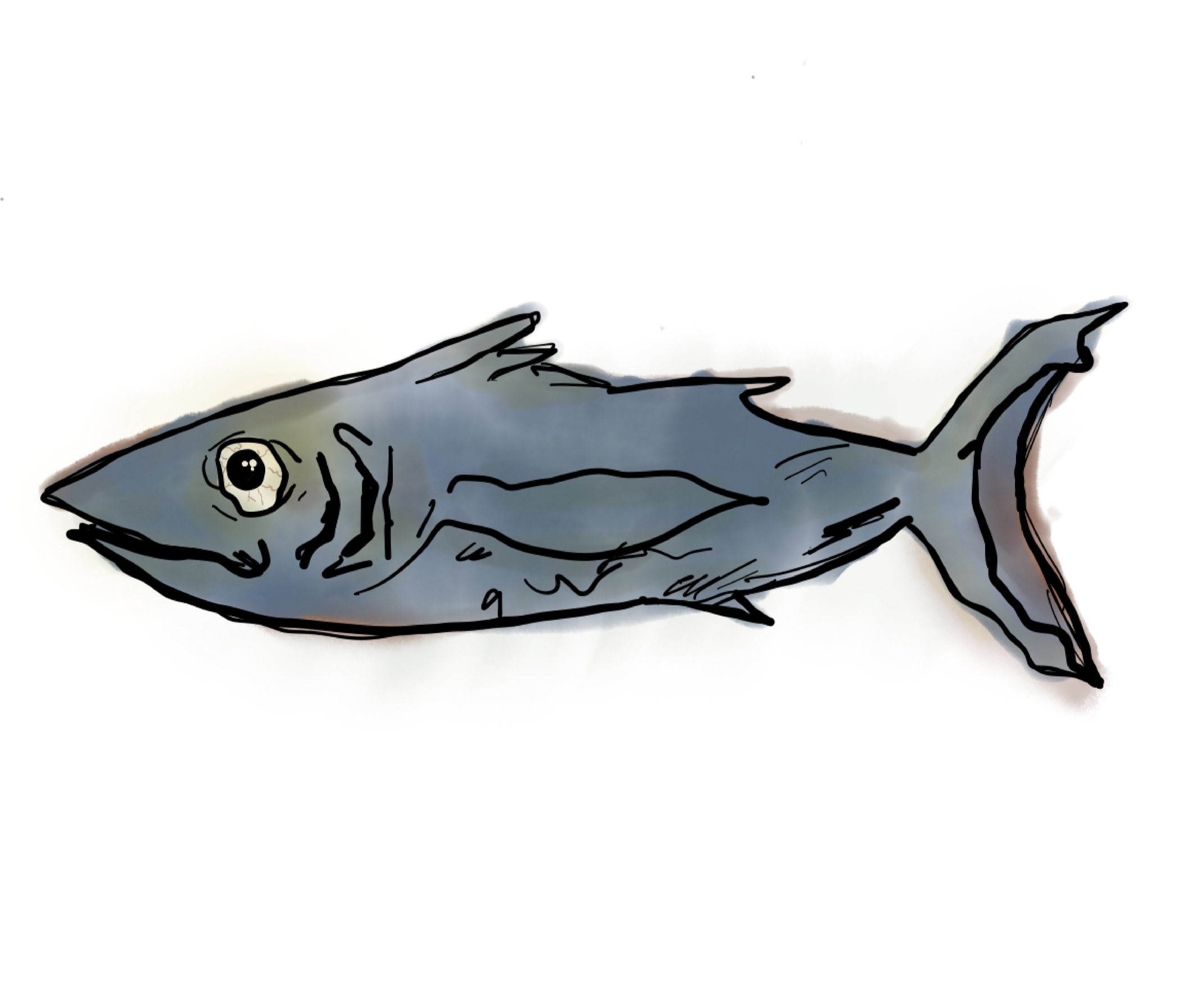 Fish-Graphic.png