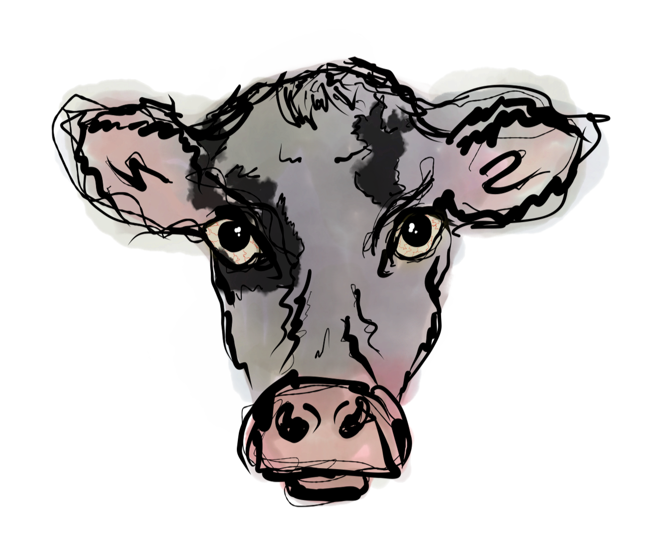 CC-Illustration-Cow-Final%2B2.png