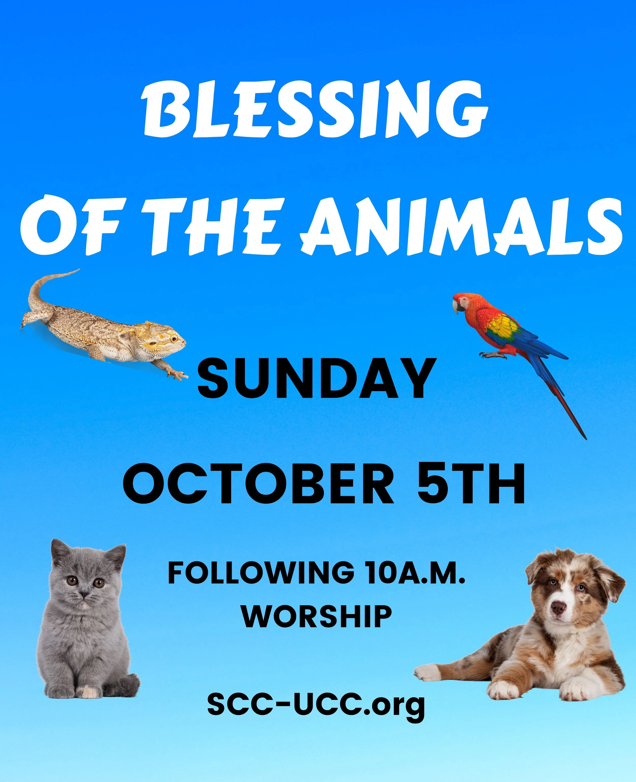 Blessing of the Animals + Donation Drive