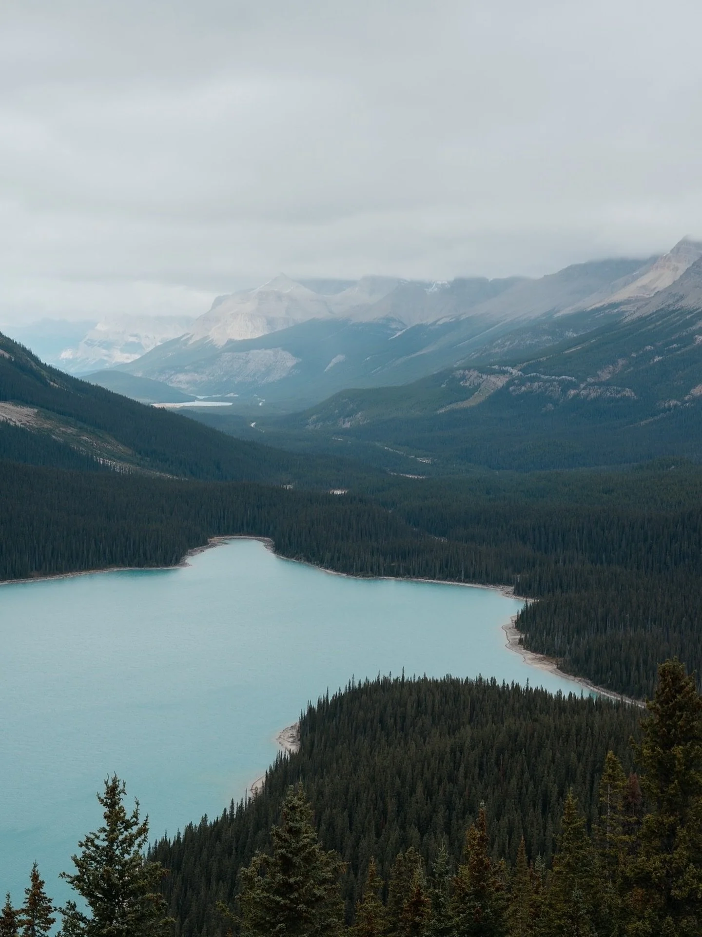 There are truly so many spots to adventure in and around the Canadian Rockies for your photoshoot. From the icons to the lesser known pockets - depending on what you&rsquo;re looking for both in aesthetic and feeling we can make it happen. 🩵