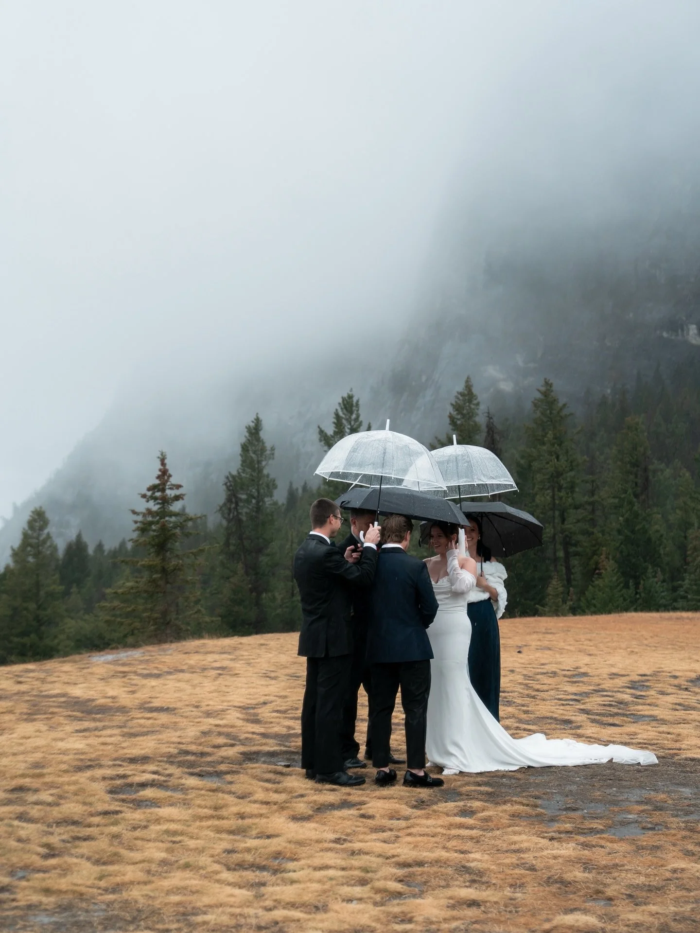 a beautiful moody ceremony hallelujah 🥹🌲⛰️