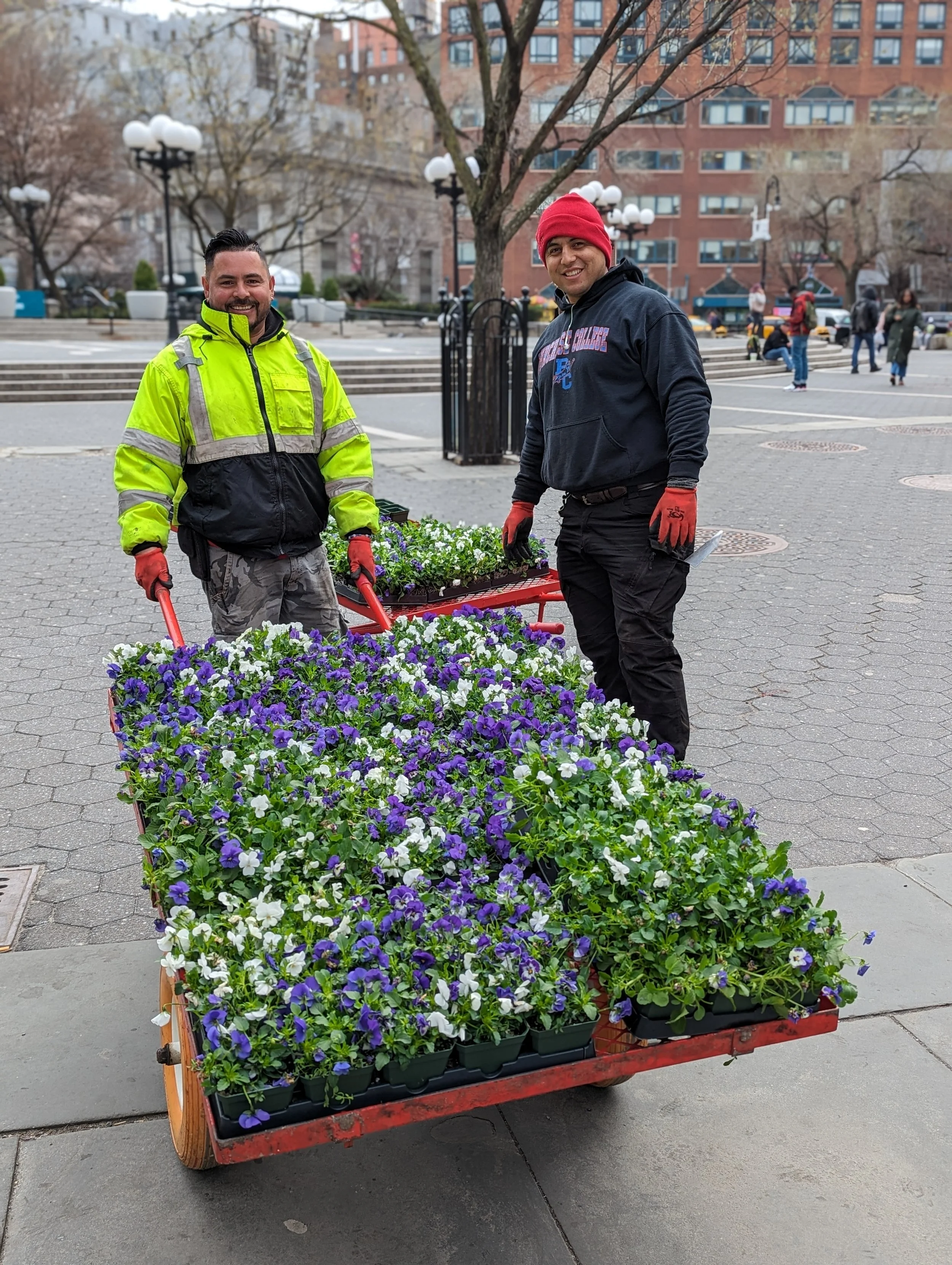 Bulfamante Spring Plantings.jpg