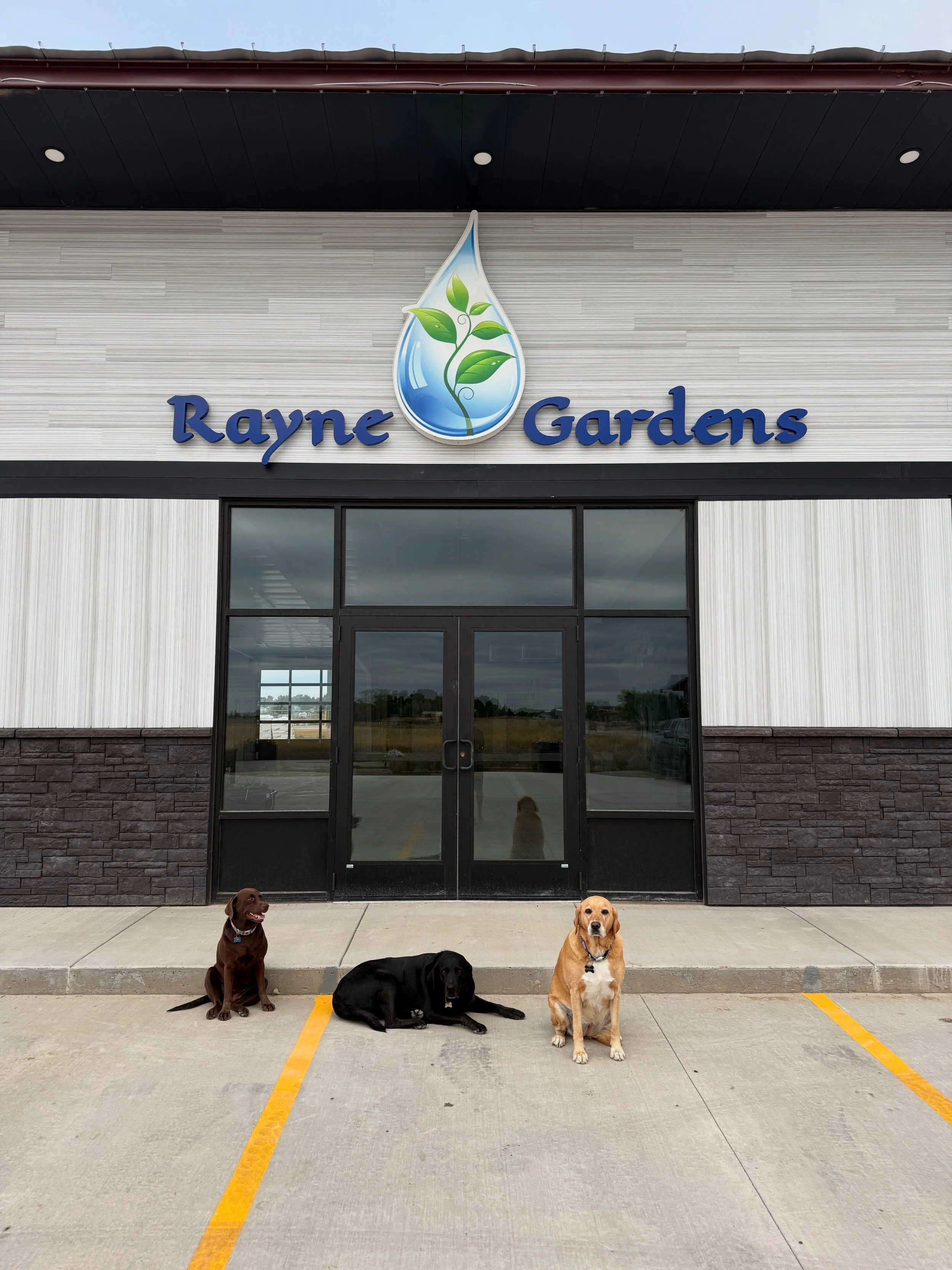 Outdoor Plants & Decor