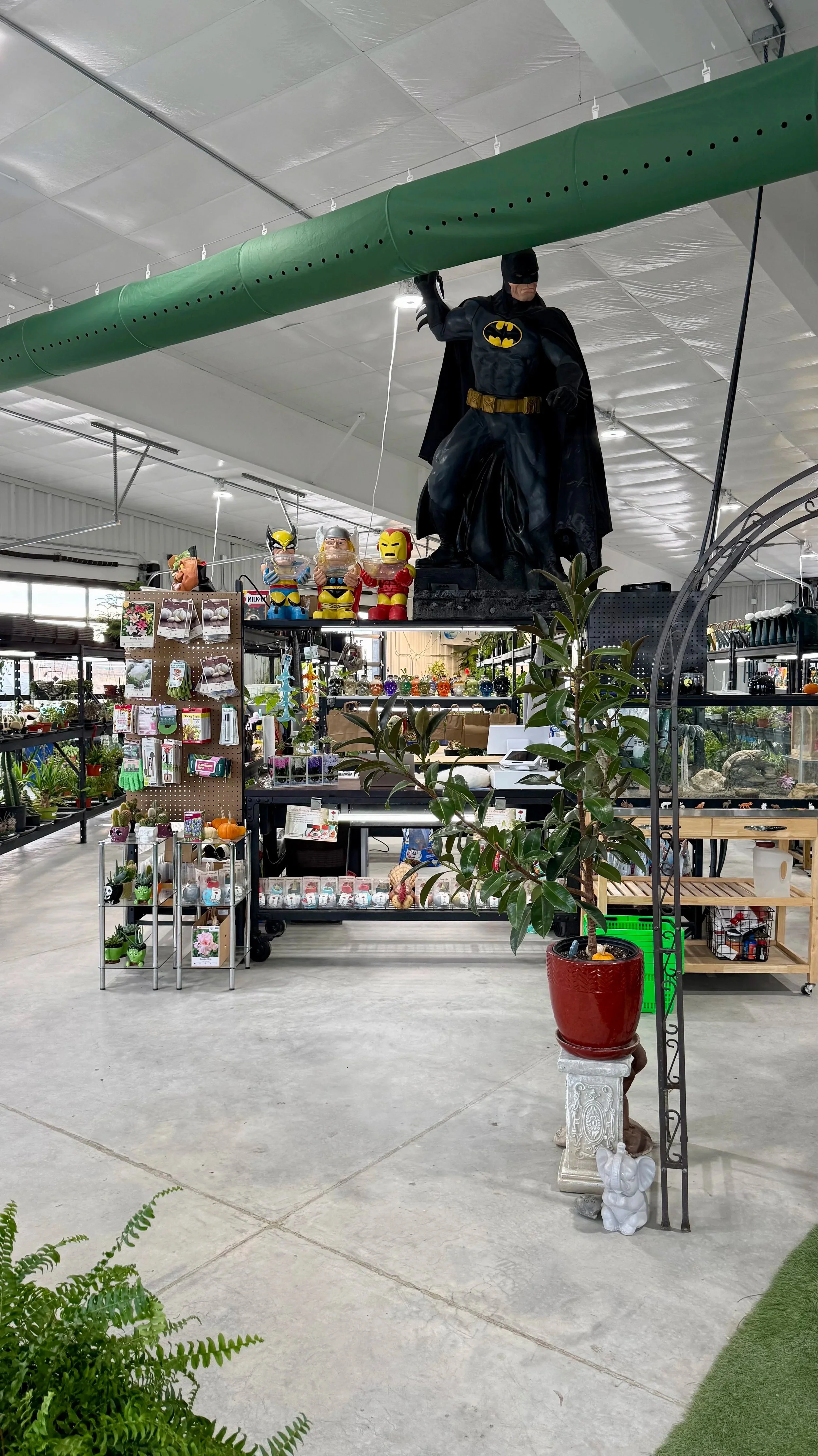 Indoor Plants & Decor