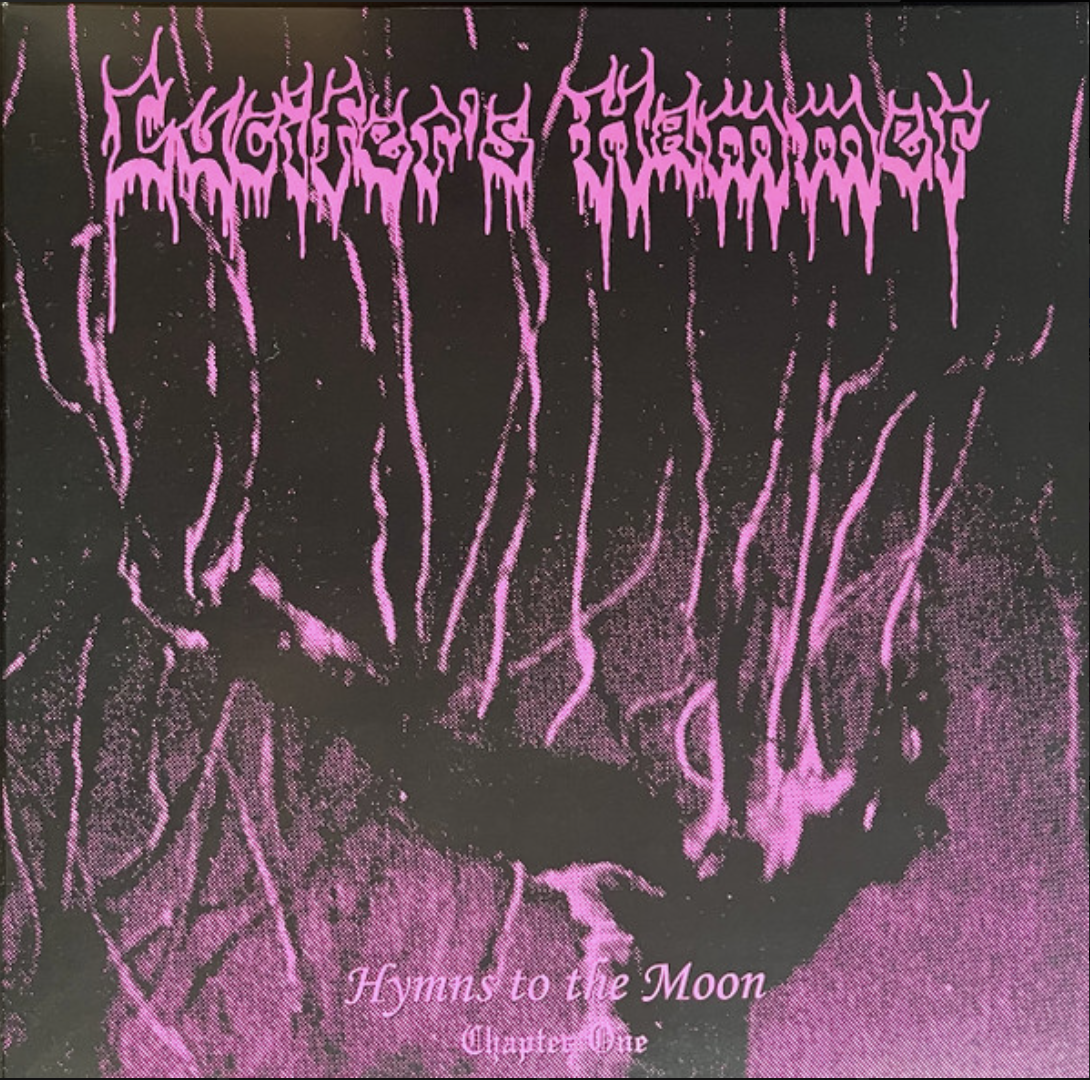 Screen Shot 2026-01-02 at 1.31.19 PM.png