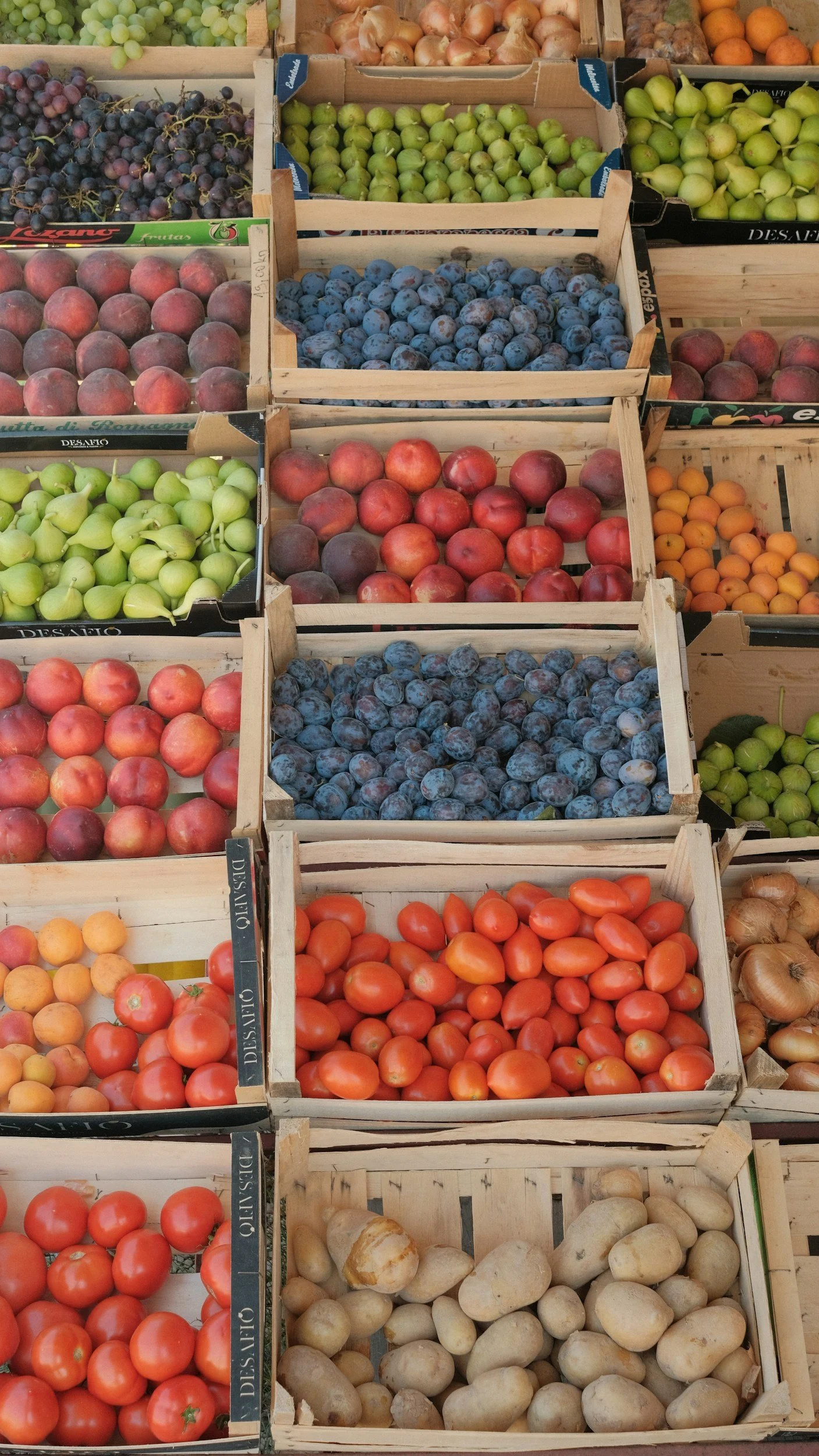 eagle idaho farmers market fruits and vegetables
