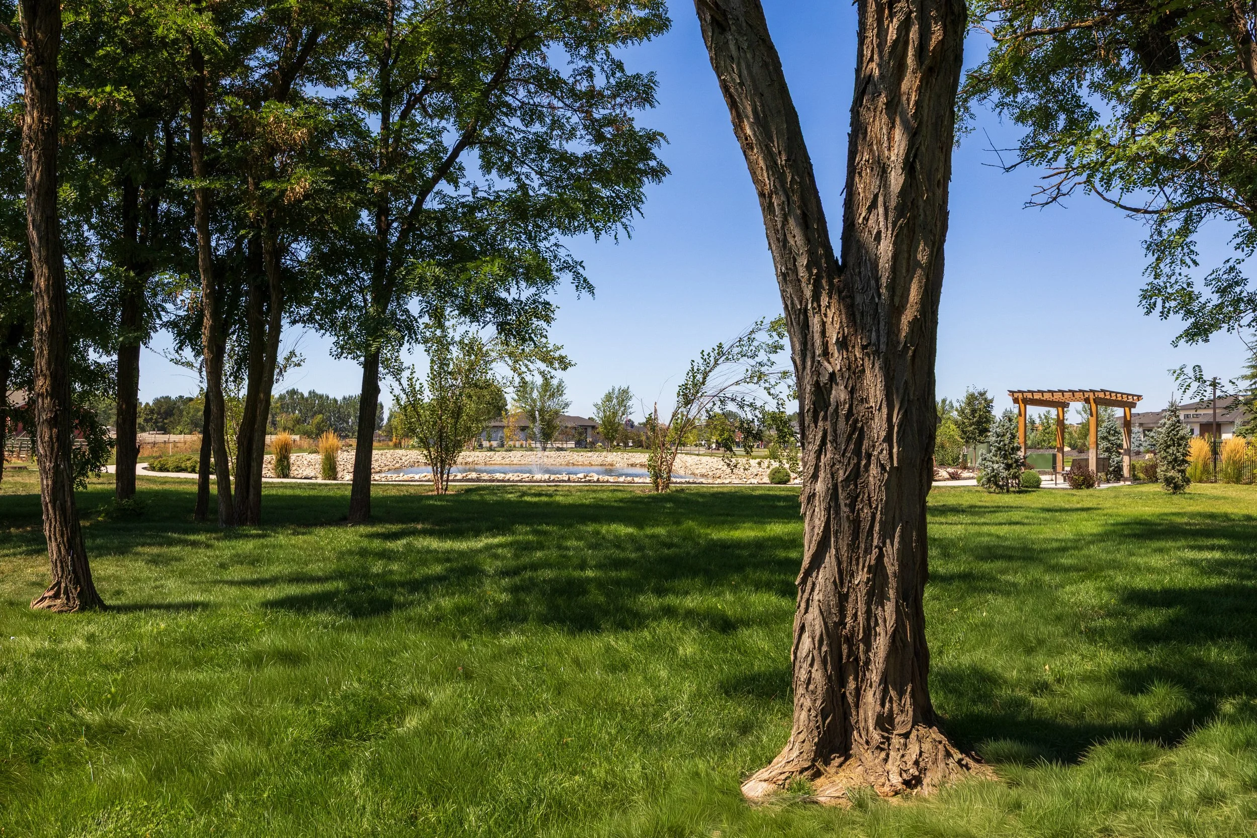 6_01_whitehurst_community.jpg
