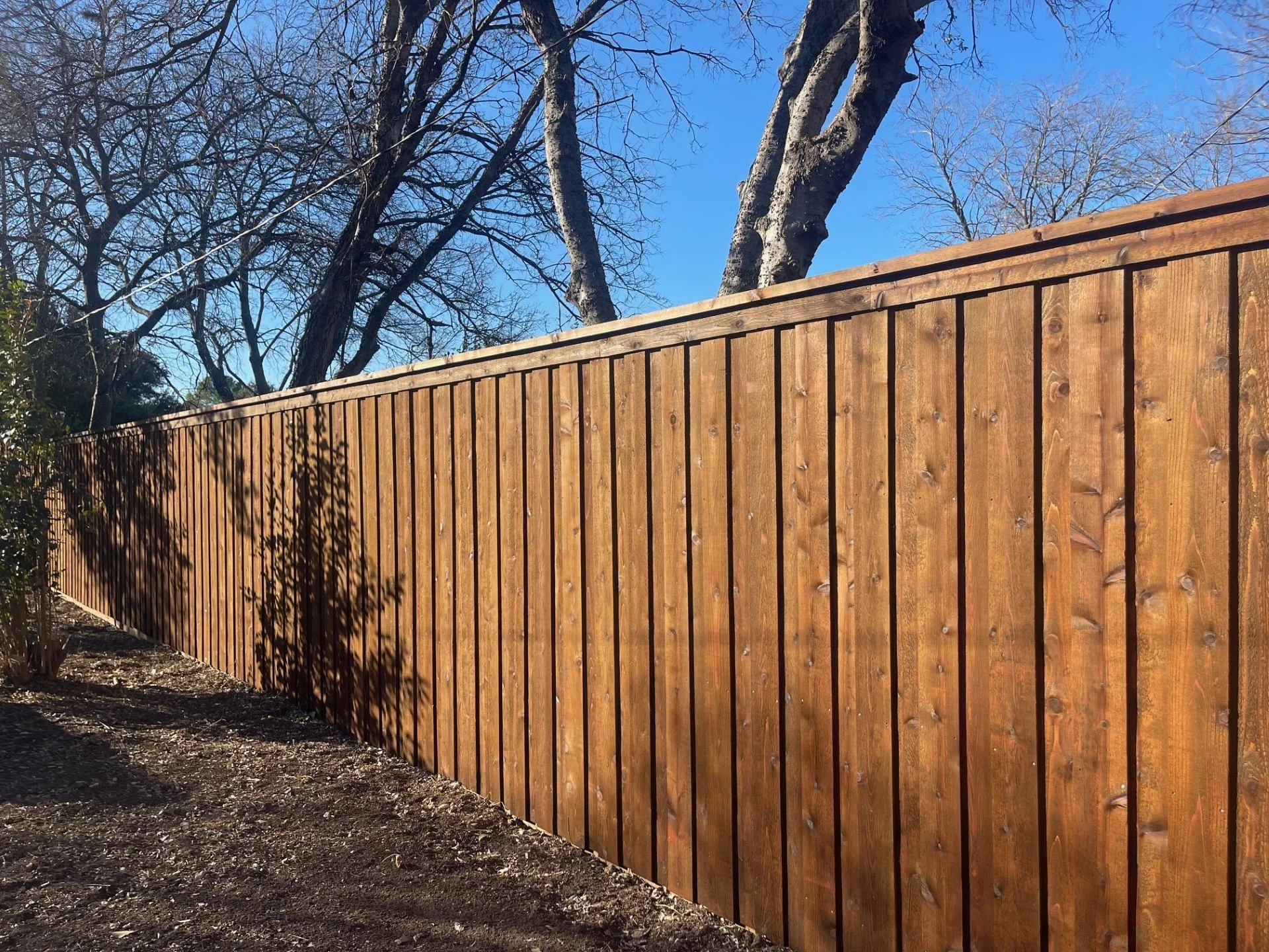 Residential Pre-stained board on board fence 2.jpg