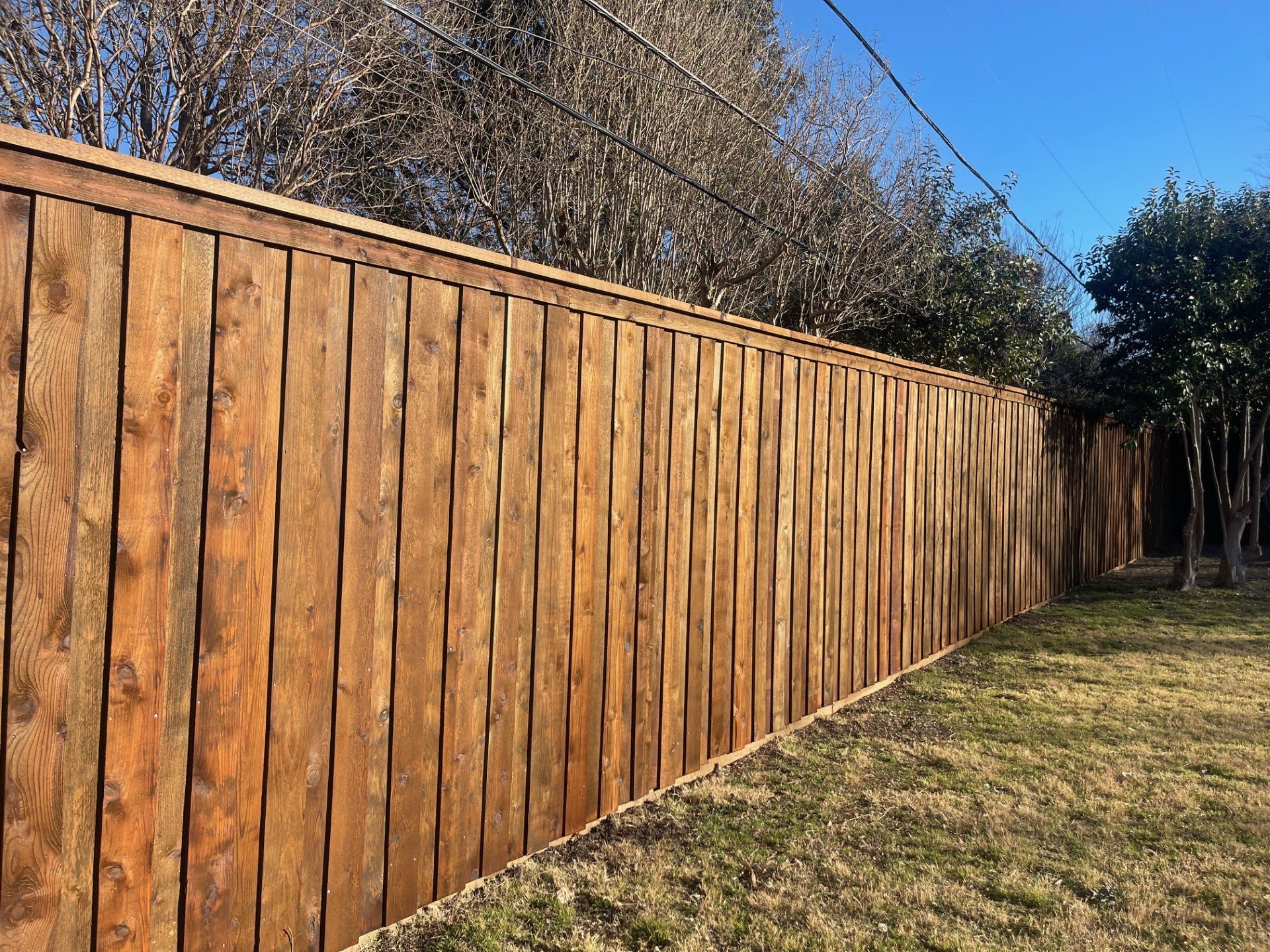 Residential Pre-stained board on board fence.jpg