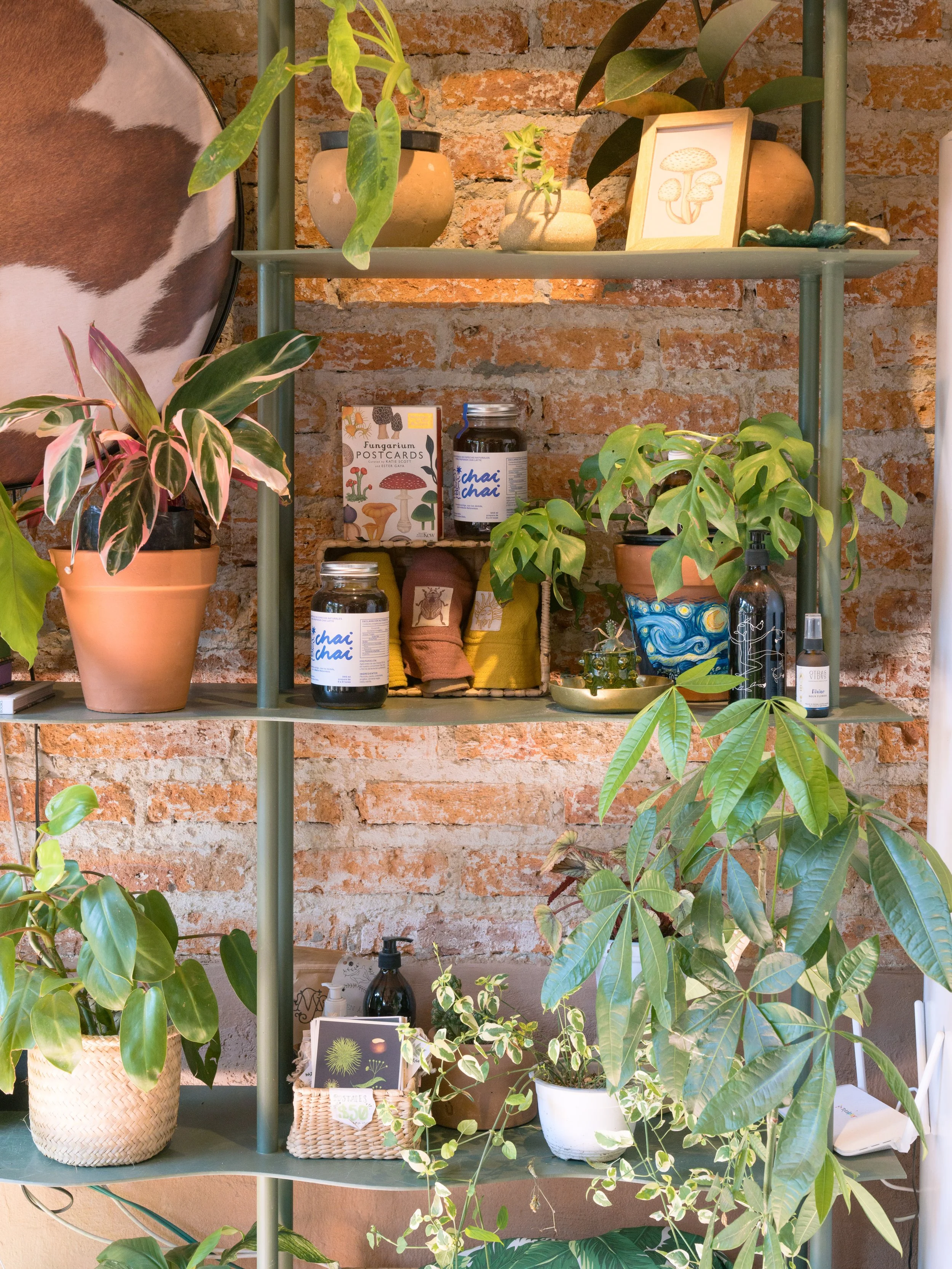 PlantadaXDinamita-10.jpg
