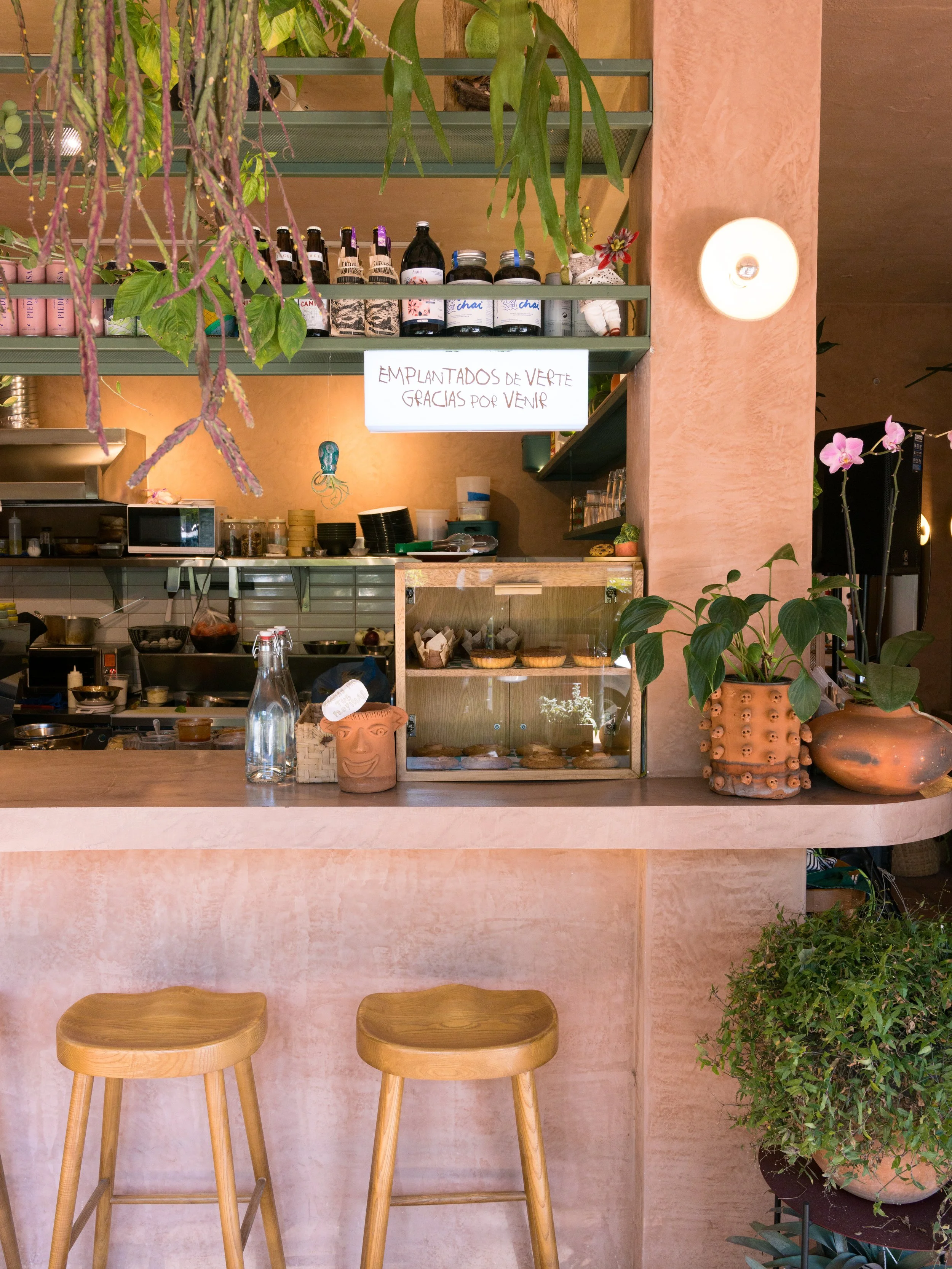 PlantadaXDinamita-9.jpg