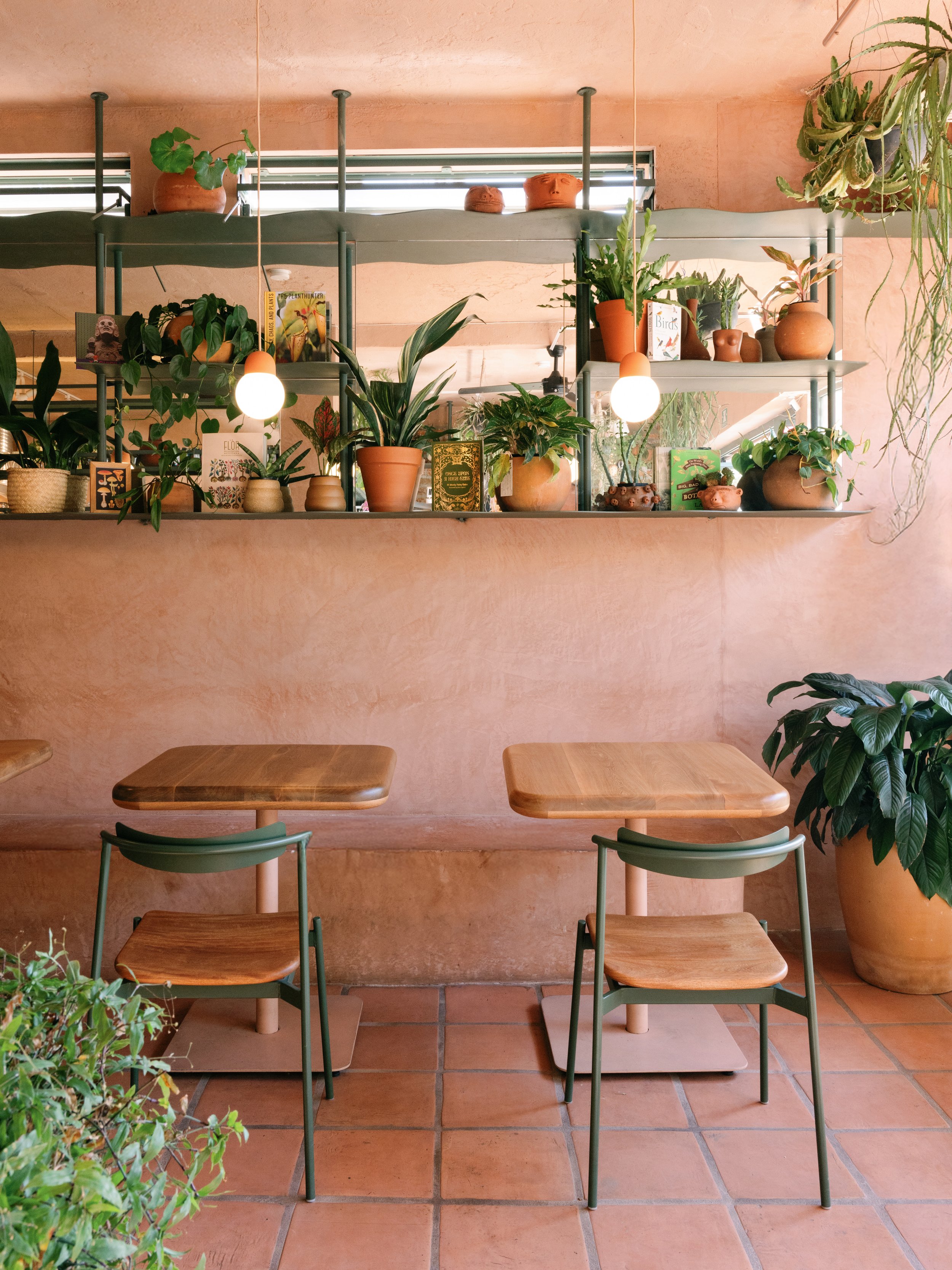 PlantadaXDinamita-3.jpg