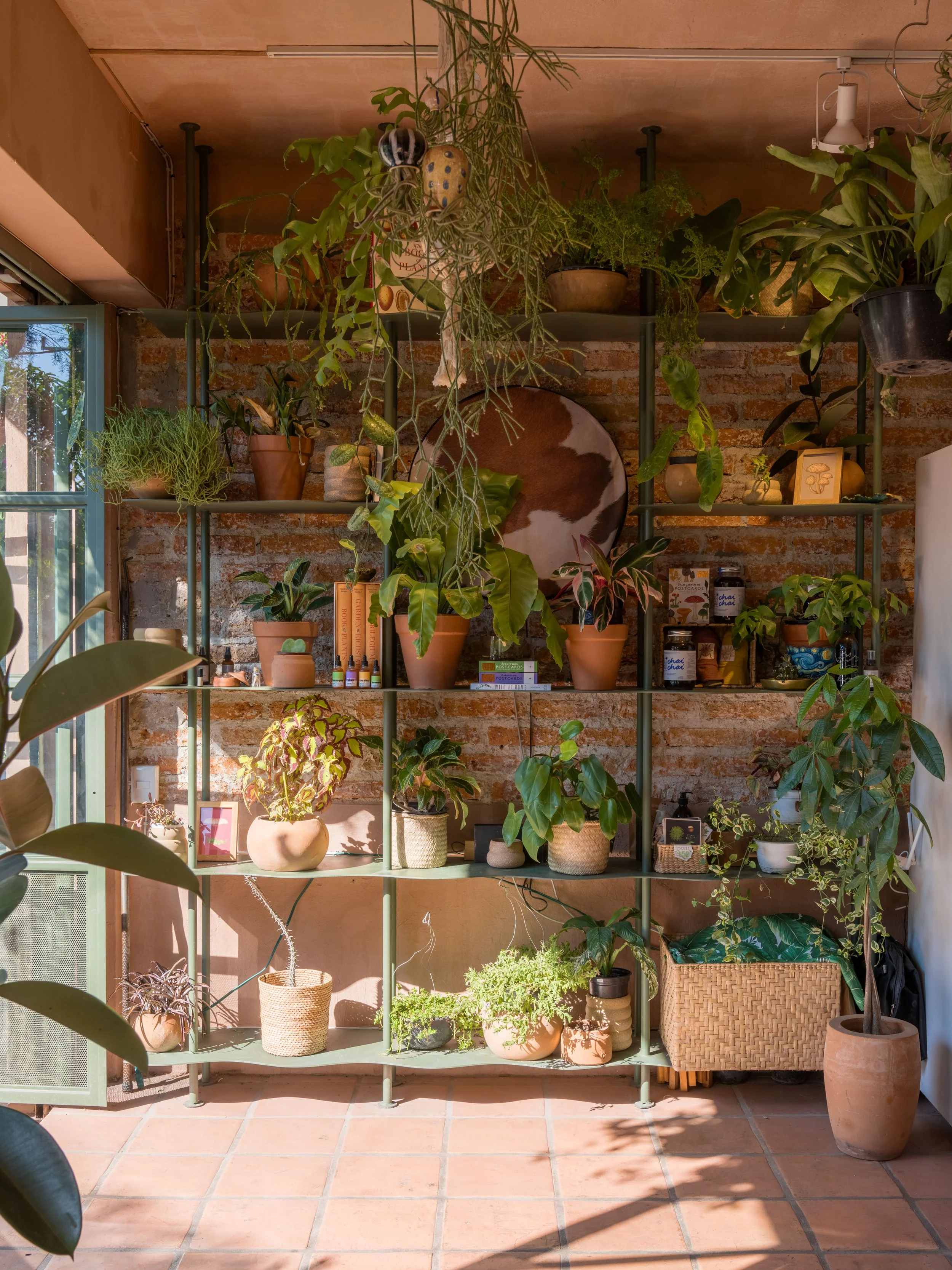 PlantadaXDinamita-8.jpg