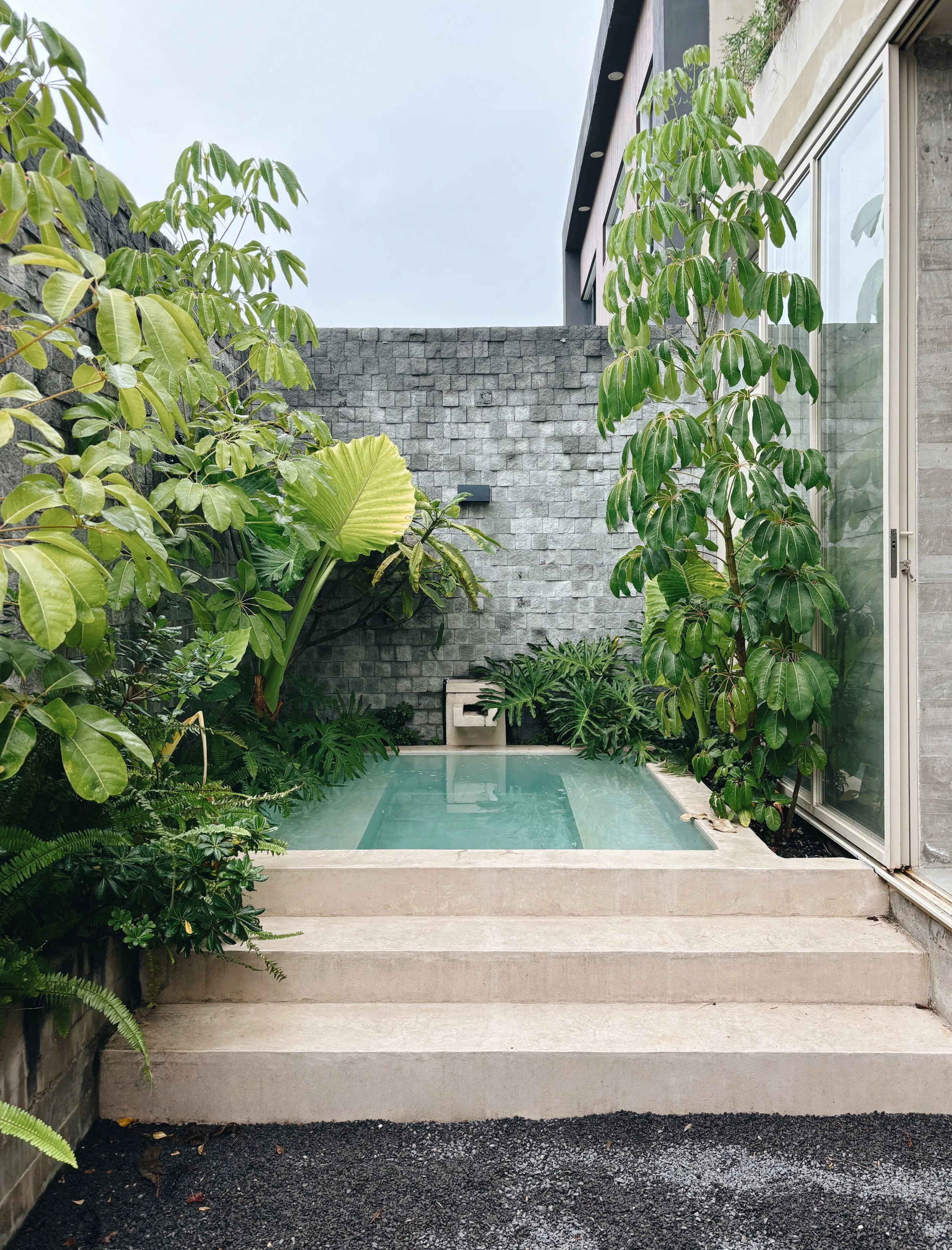 CASA LANTANA PLUNGE POOL.jpg