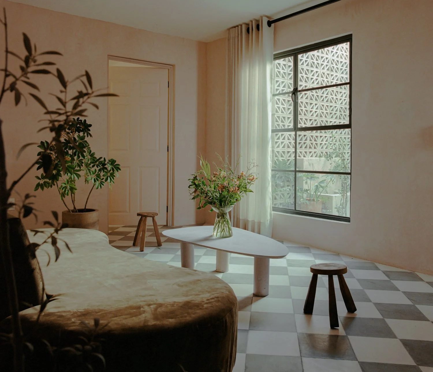 230228-DINAMITA-CASAJUSTINA-DEPA2-8.jpg