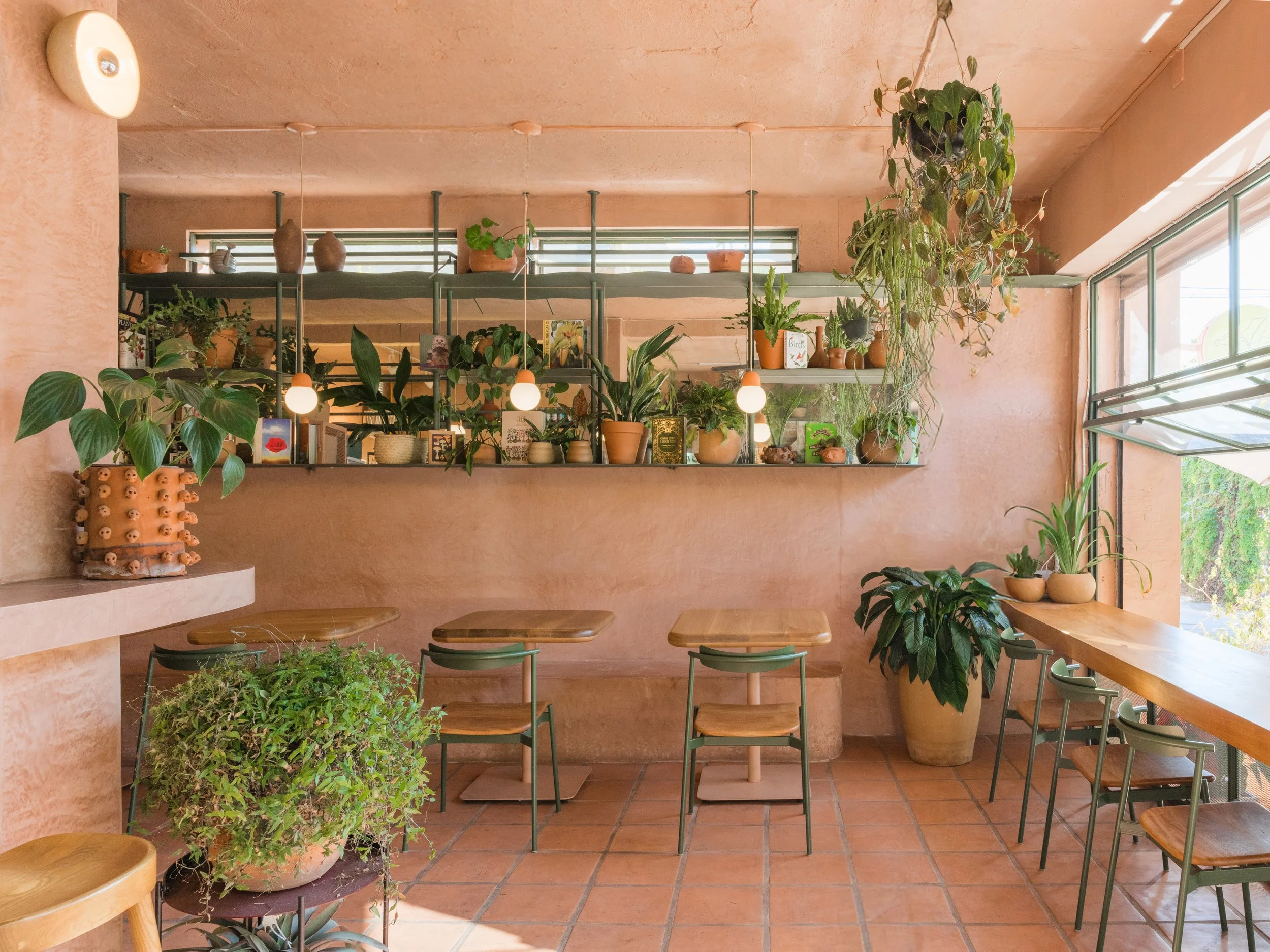 PlantadaXDinamita-6.jpg