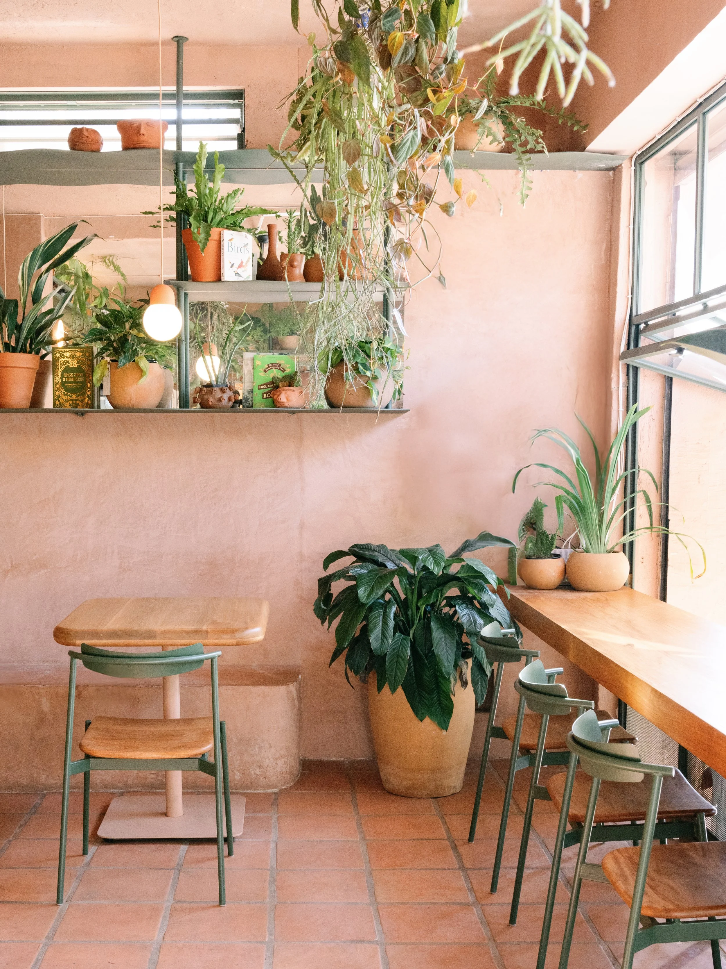 PlantadaXDinamita-5.jpg