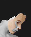 fict_tri1.gif
