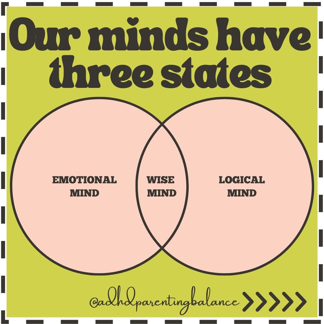 ◈ Our minds have three states: the emotional mind, the wise mind, and the logical mind. Feelings drive the emotional mind, the logical mind is driven by reason, and the wise mind is a middle ground between the two. 

◈ We're using our emotional mind 