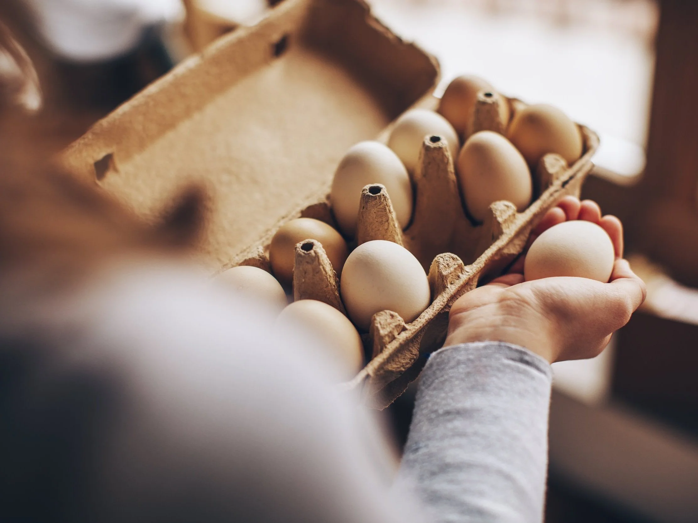 Products | Grass-Fed Beef | Pastured Organic Chicken & Eggs | Local ...