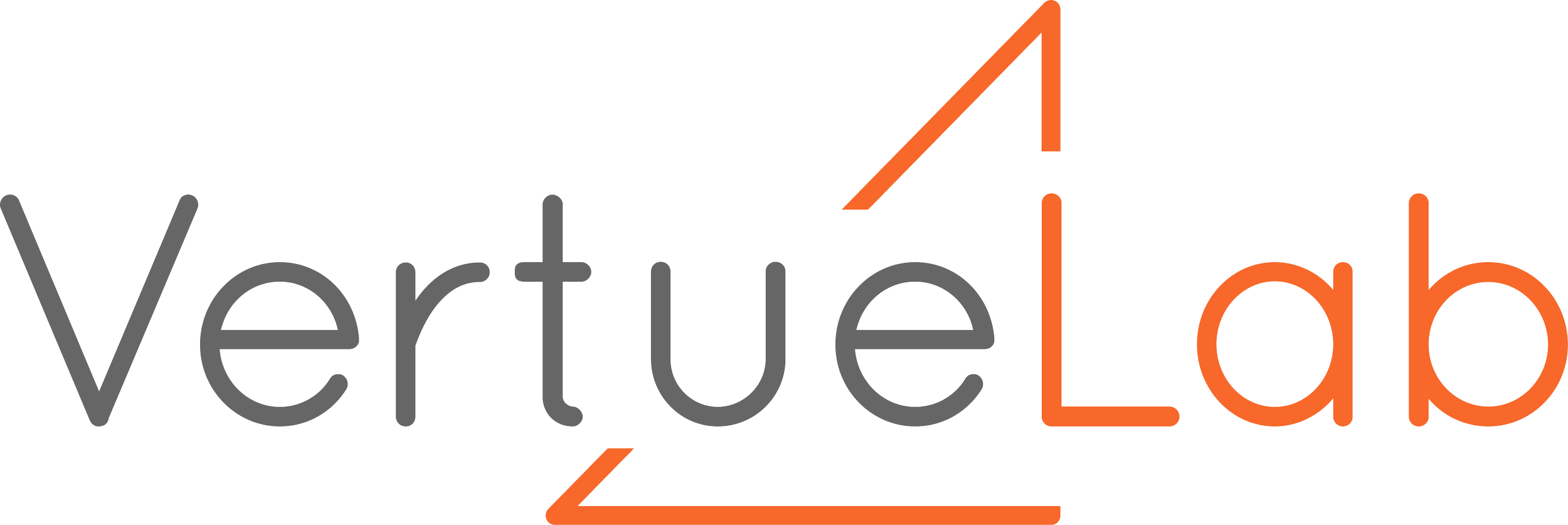 Our People — VertueLab