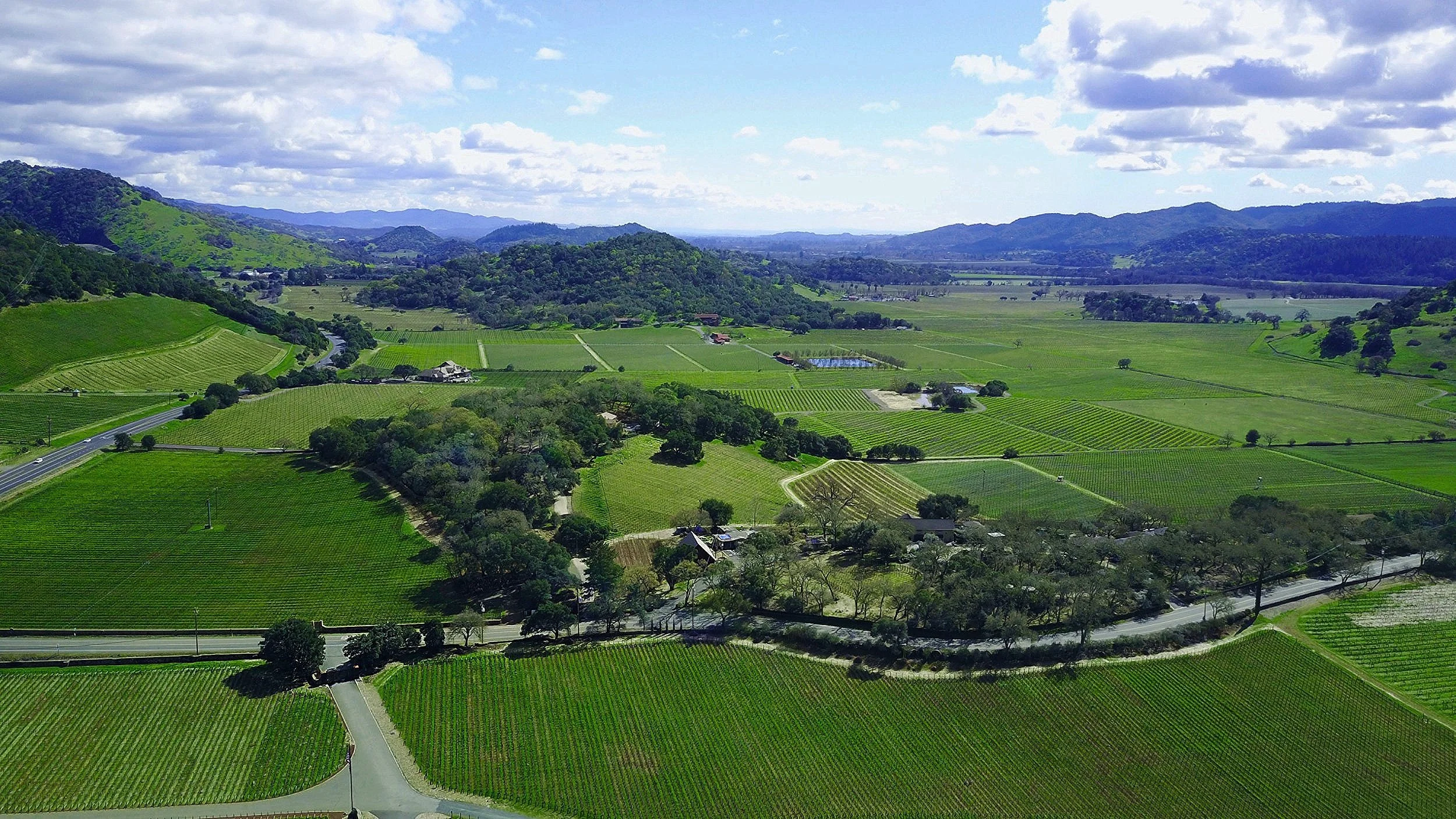 Napa Valley Car Club HighPerformance Car Rentals