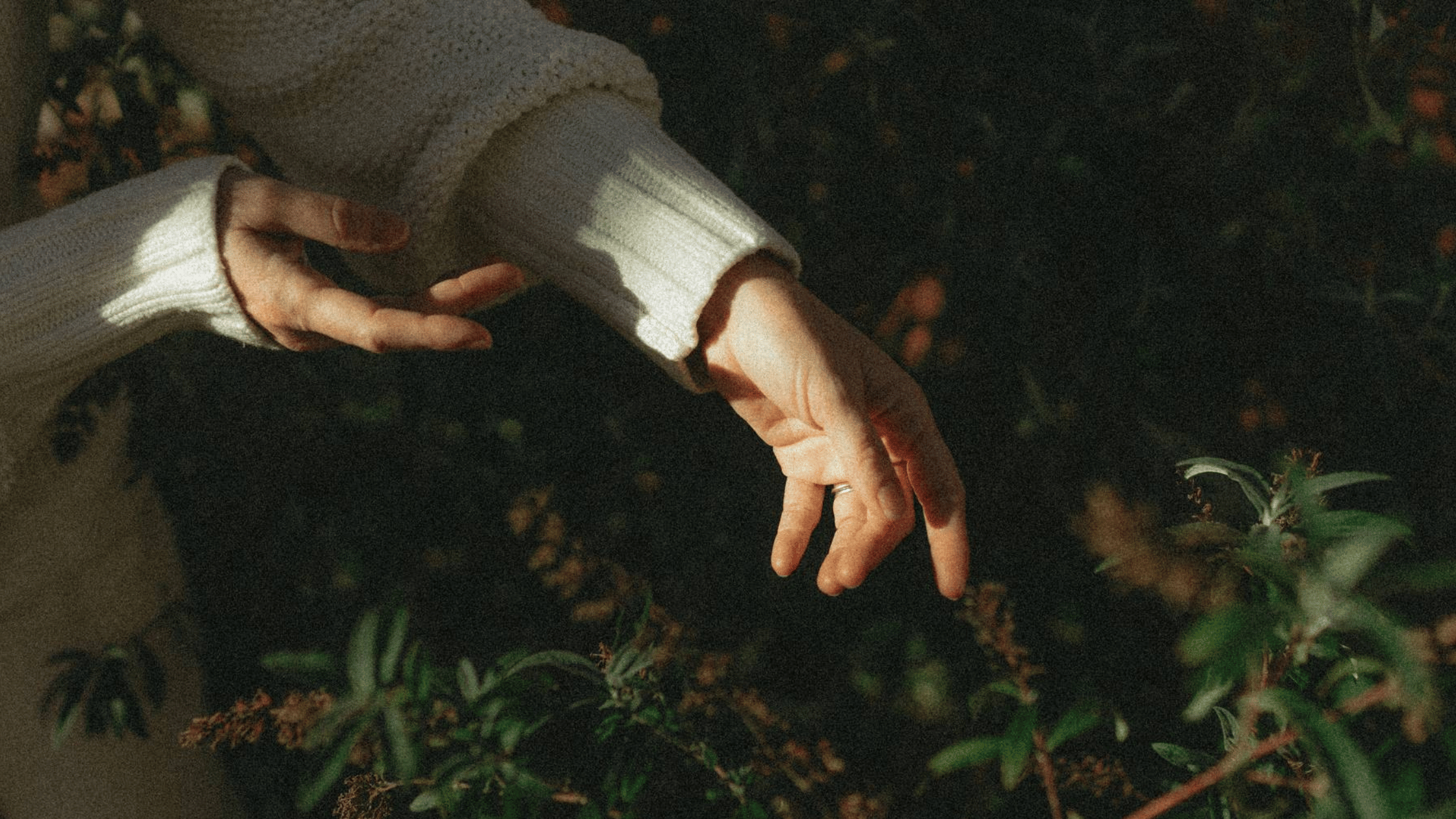 An Introduction to Homeopathy