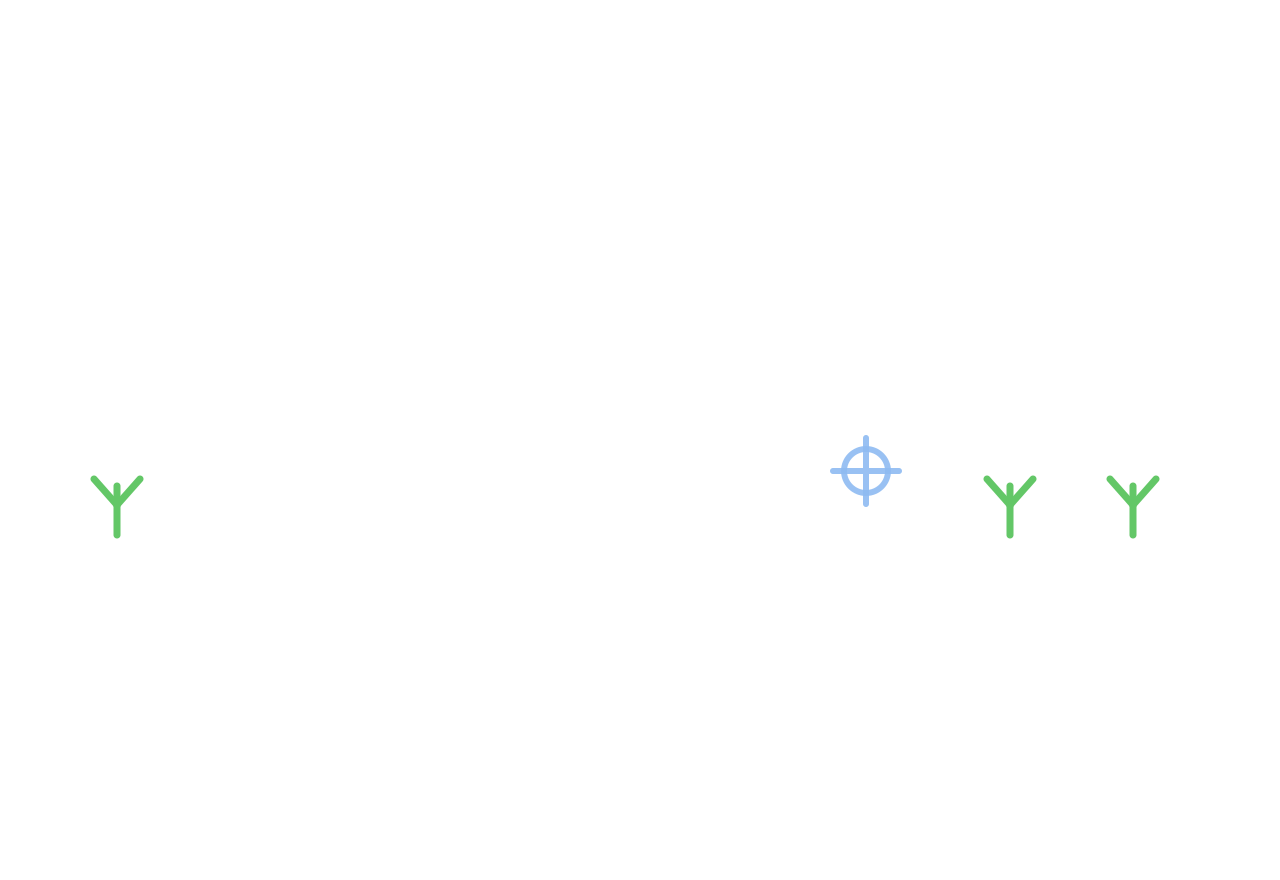 Diagram showing seedling planting and soil layers in agricultural field with markers and roots depicted underground.