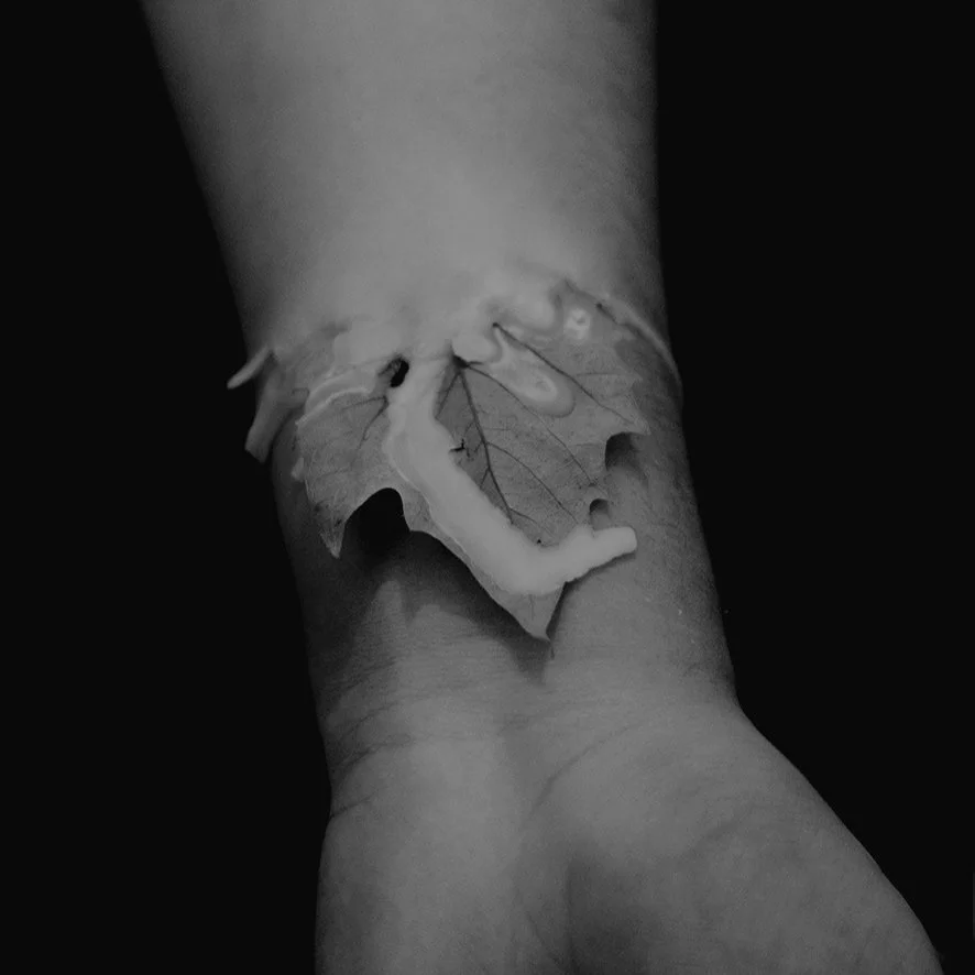 Wax shot final.jpg