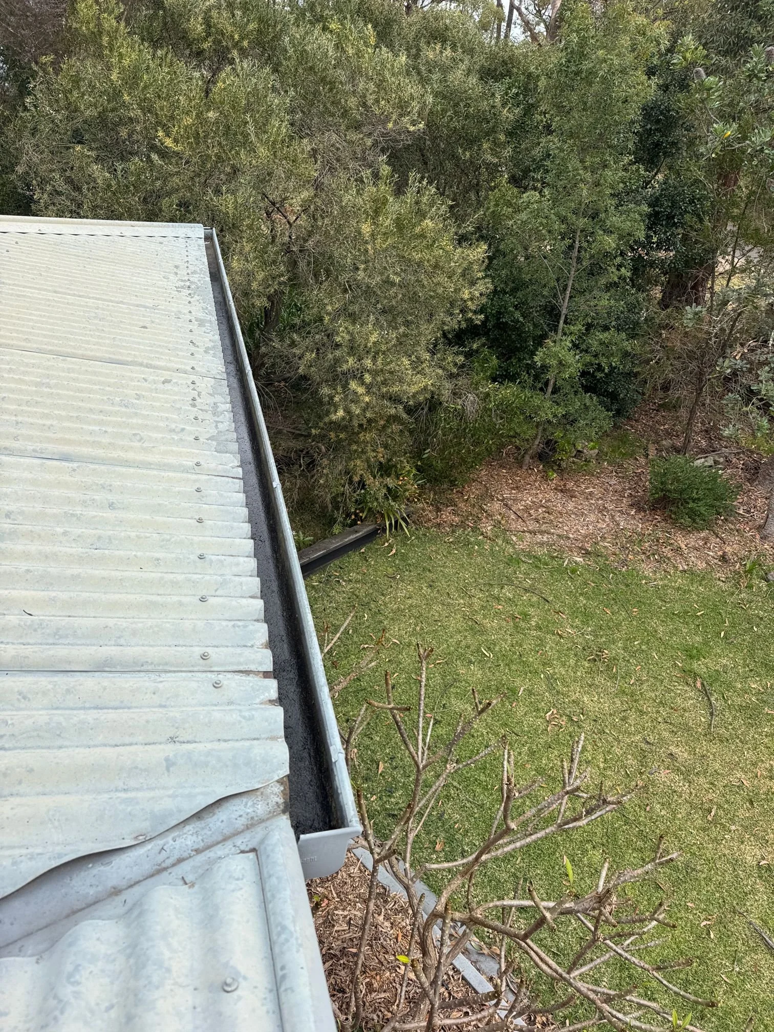 How Much Does Gutter Cleaning Cost in Sydney? 