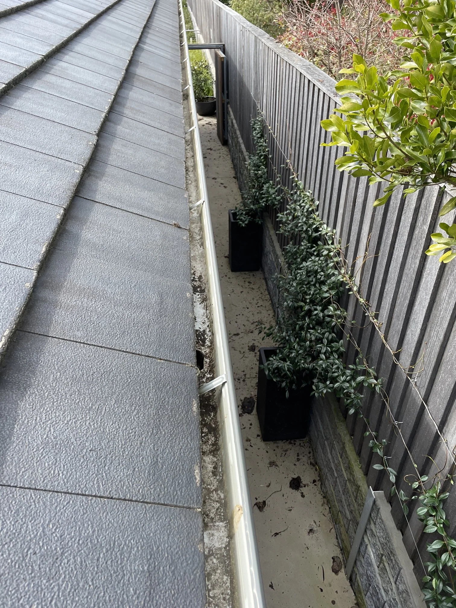 Gutter cleaning near me.
