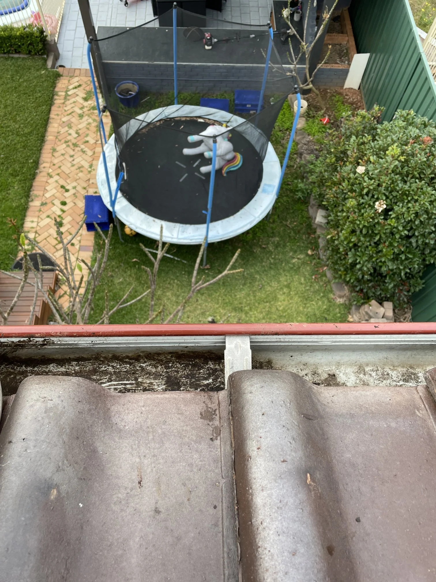 Weeds need to be cleared from my gutters. Contact Blown Away Gutter Cleaning to remove them today.