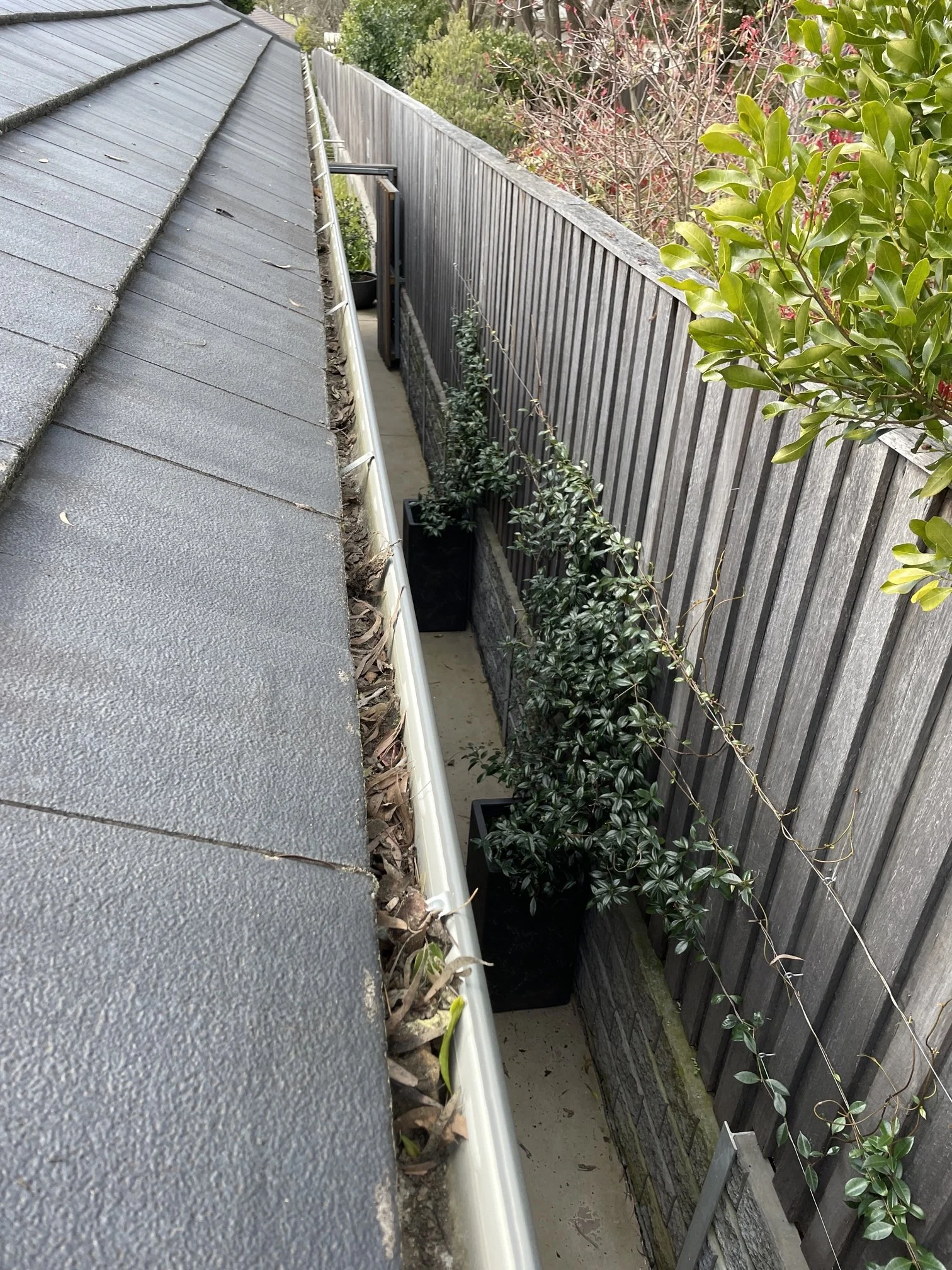 Gutters are full of debris preventing water flowing in gutters and downpipes. Contact Blown Away Gutter Cleaning today to clear out the debris today.