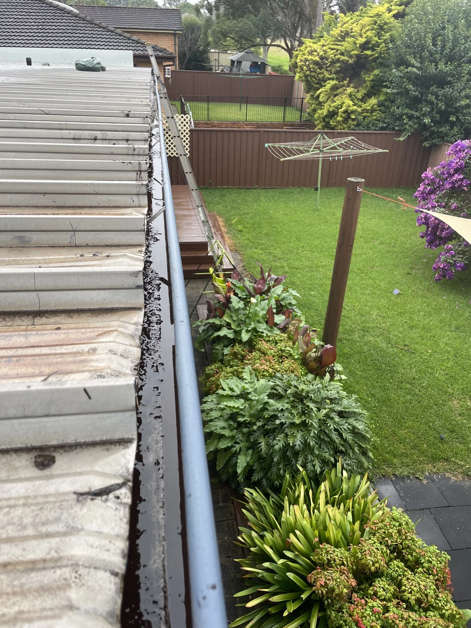 My gutters need cleaning. Contact Blown Away Gutter Cleaning today for affordable gutter cleaning near you.